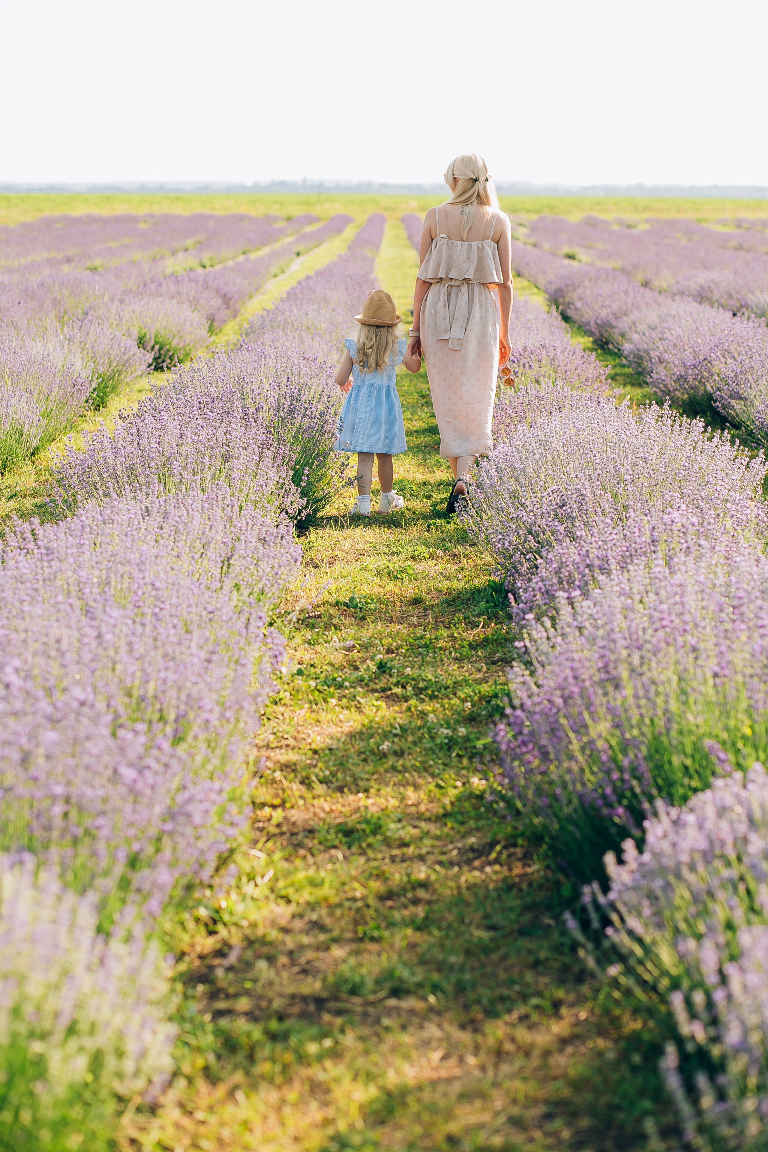 Лавандовое поле. Свадебный и семейный фотограф Волкова Маргарита