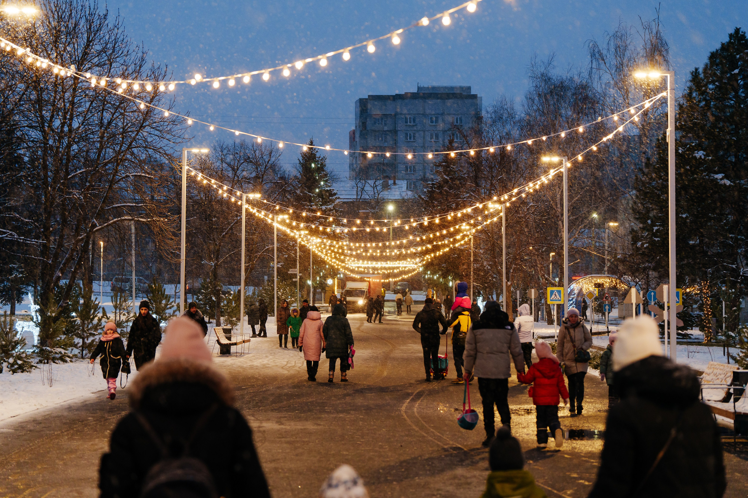 Открытие парка в Луганске. Студия событий ДЕЙЗИ. Организация мероприятий. Свадебное агентство в Ростове-на-Дону. Свадебный организатор. Организация свадьбы под ключ