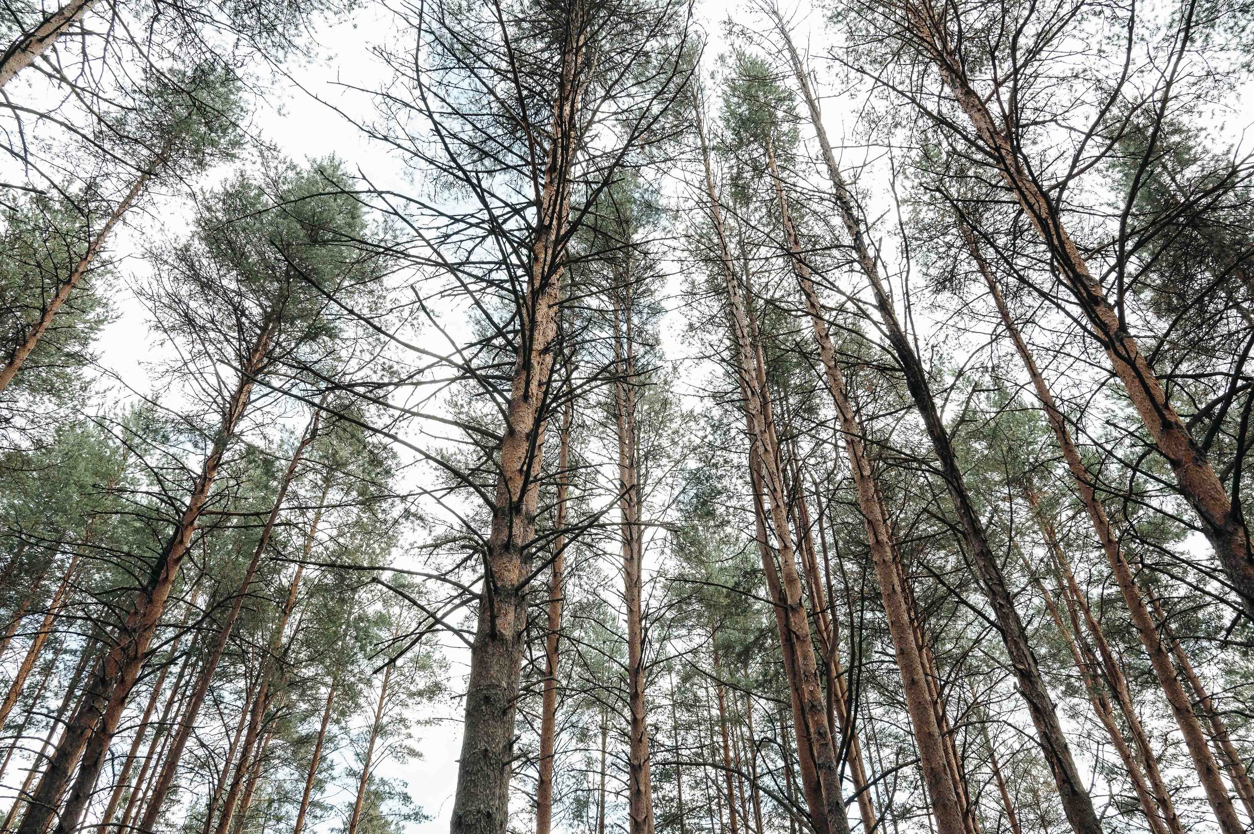 Совместные сборы в отеле. Свадебный и семейный фотограф в Котласе Никита Попов