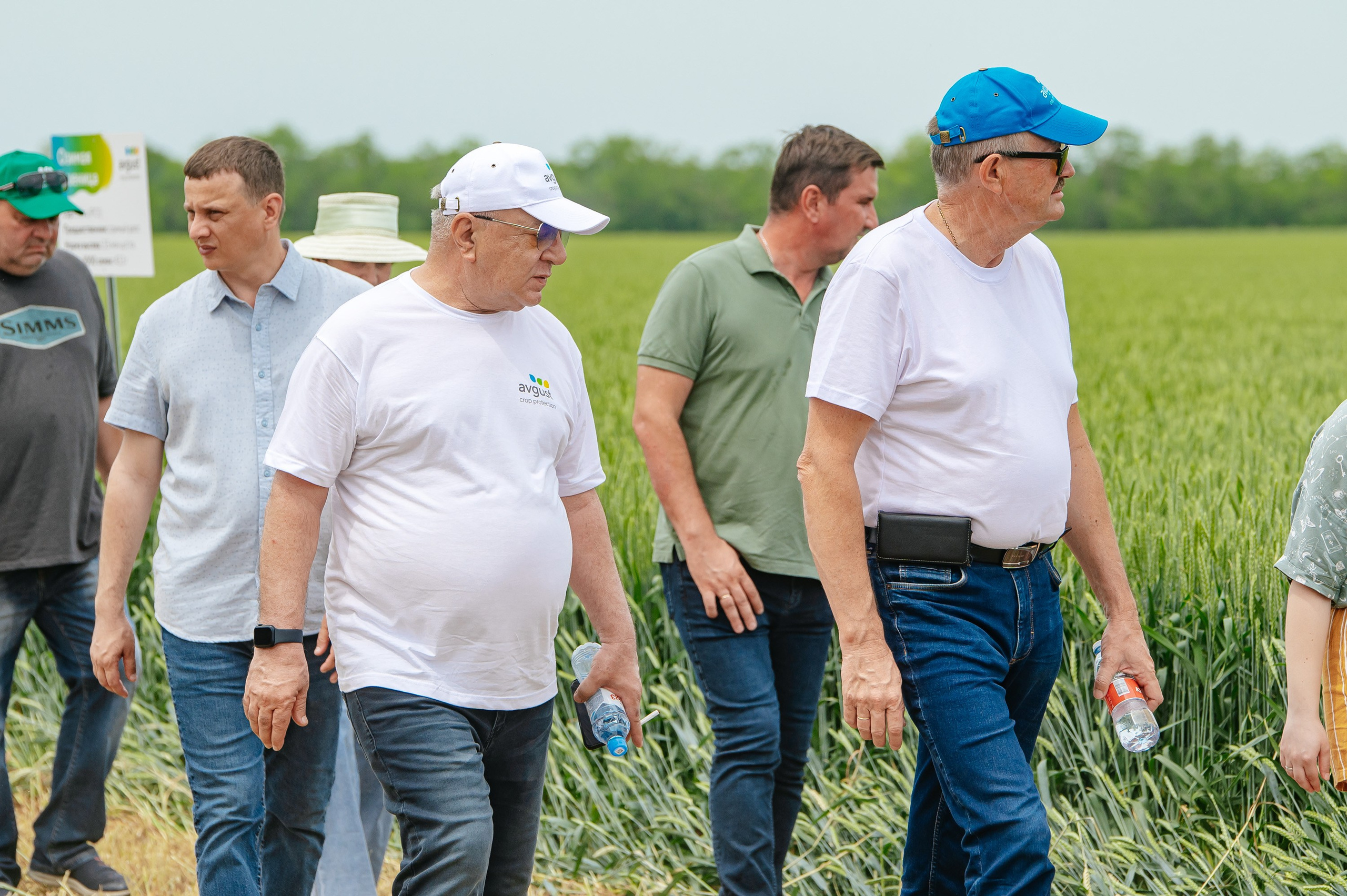 День поля. Главная