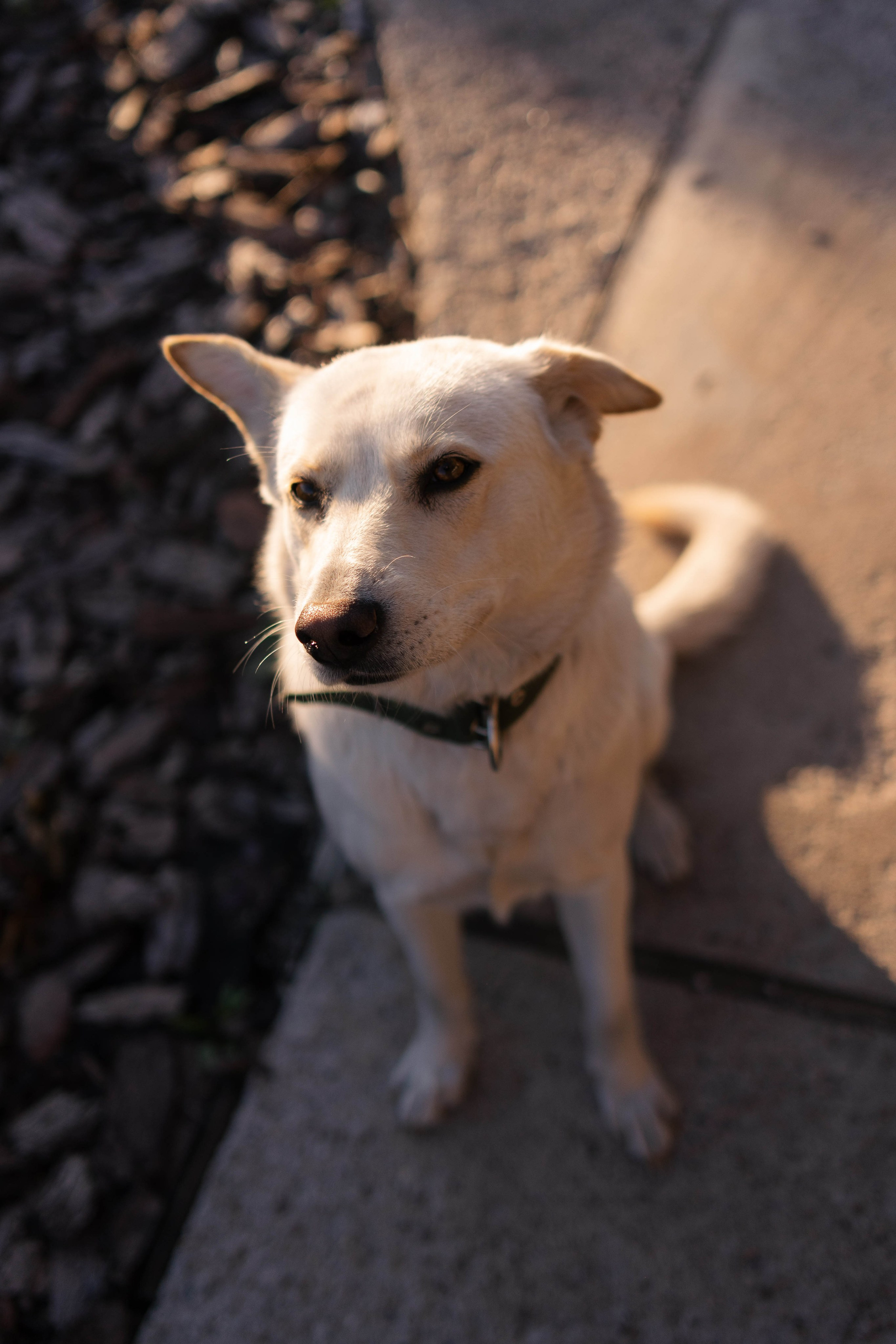 Фотосессия с Дня рождения. Свадебный фотограф в Уфе  — Данилова Елена