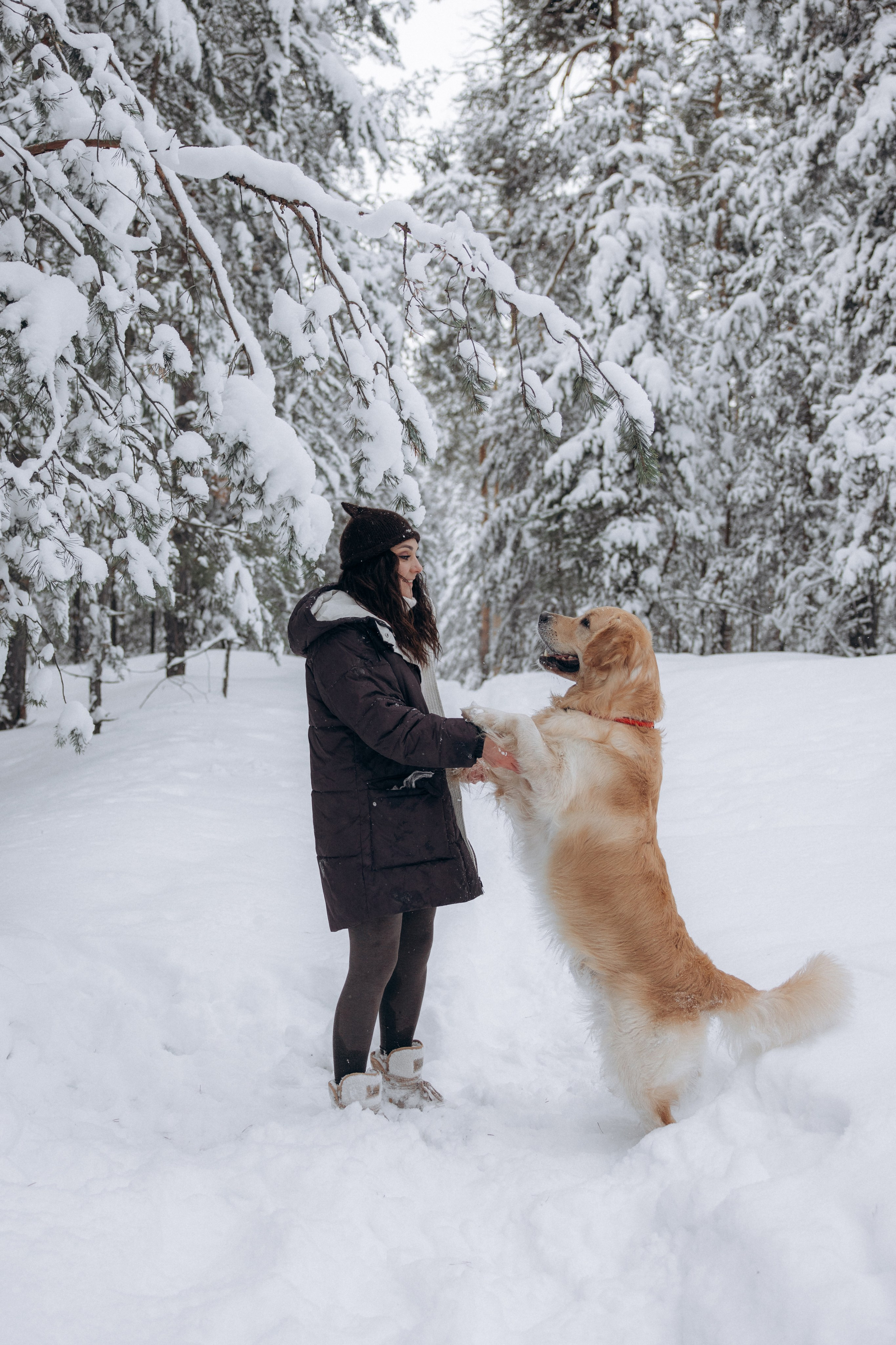 Зимняя история, Света и Чарли. Фотограф анималист в Казани Алина Сулейманова. Фотограф животных