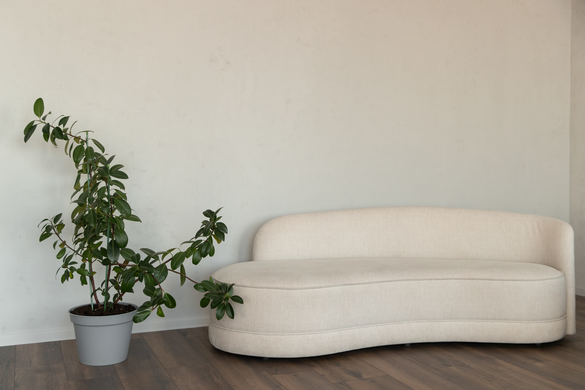 Фотостудия в Минске Neostudio. Фотограф в Минске Людмила Дутко