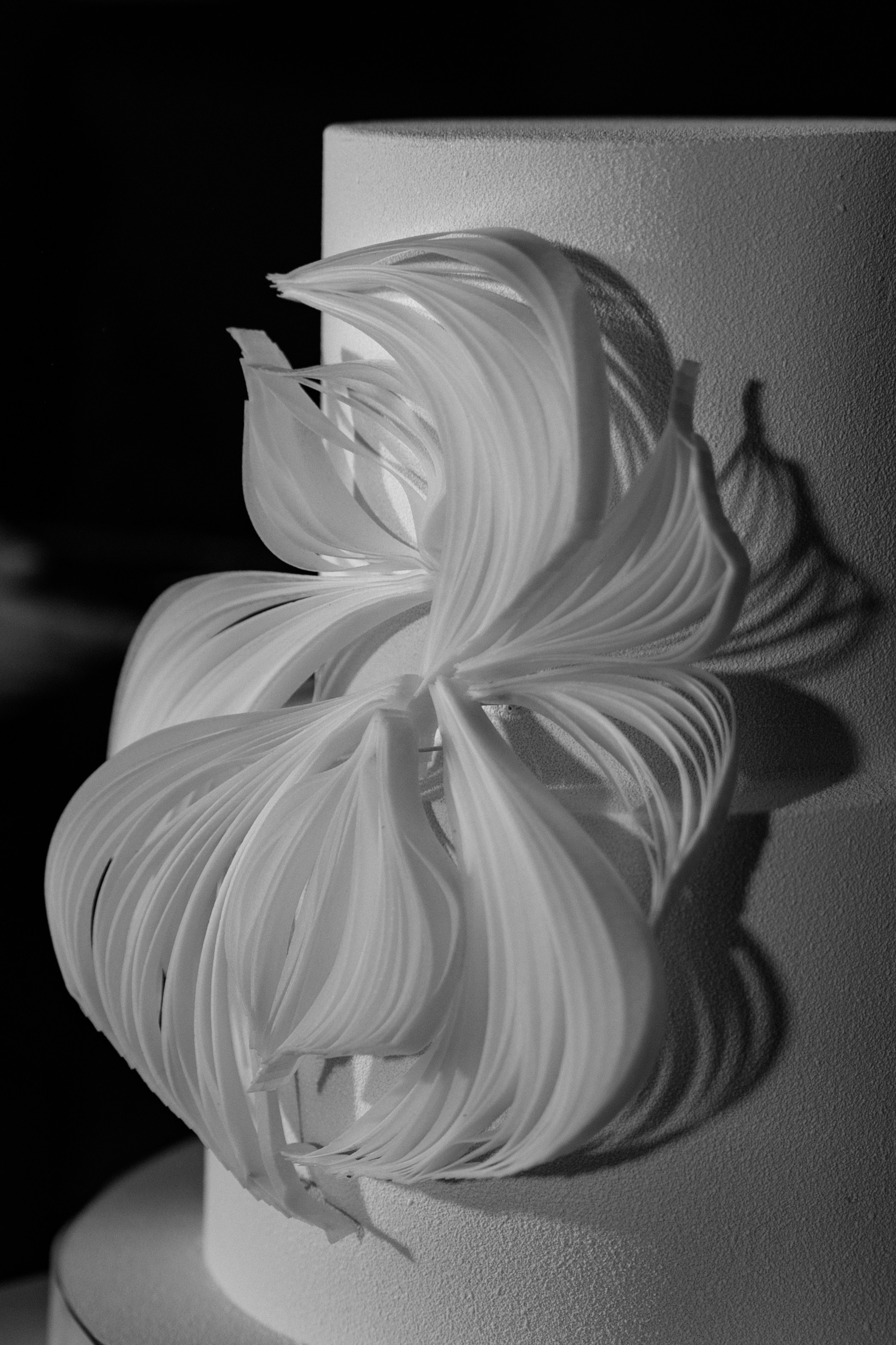 V+E. Полный день (сокращено). Семейный и портретный фотограф в Саратове Сахарова Маша