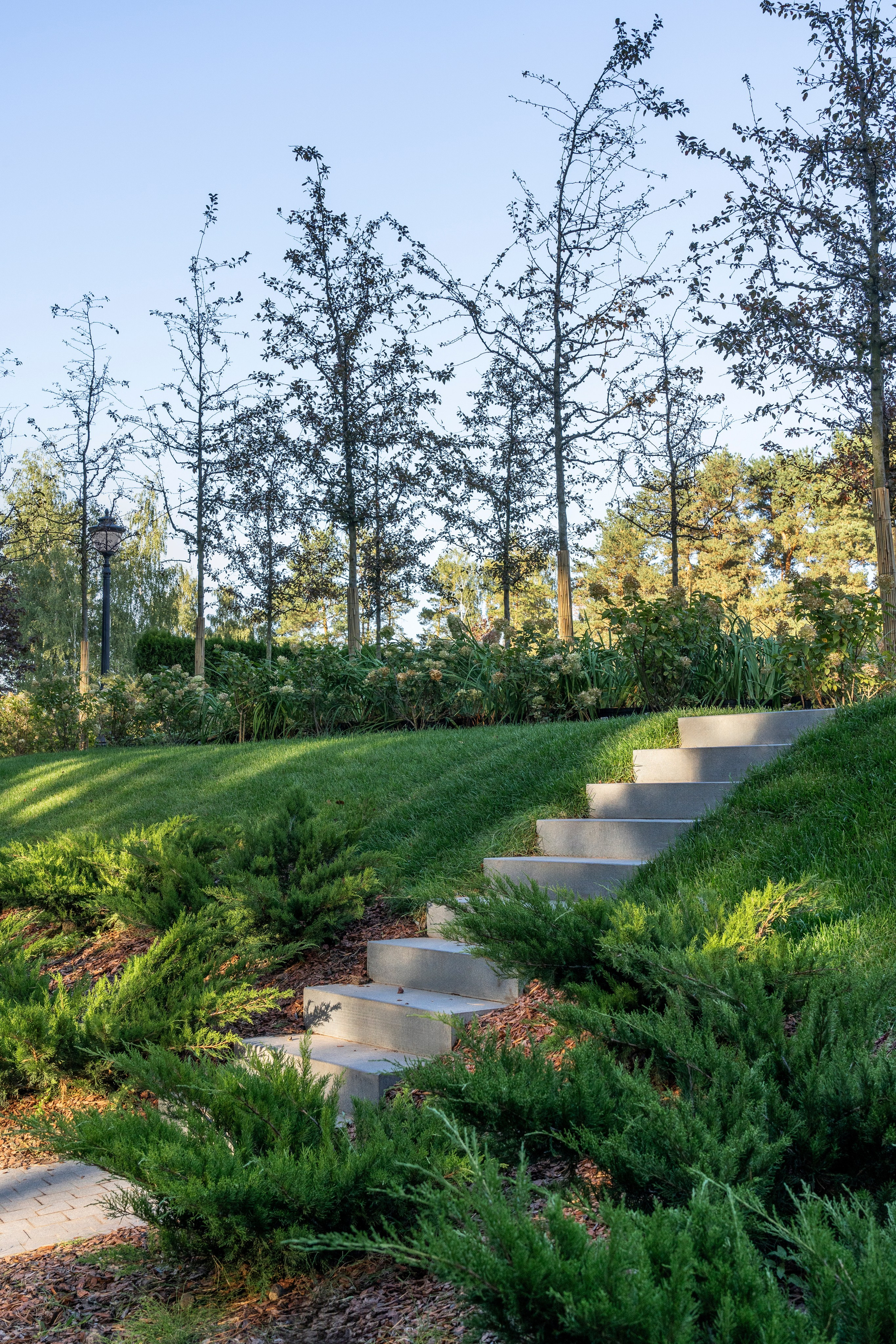 Scenic garden in the Moscow region. Артамонов Александр | Архитектурный и ландшафтный фотограф