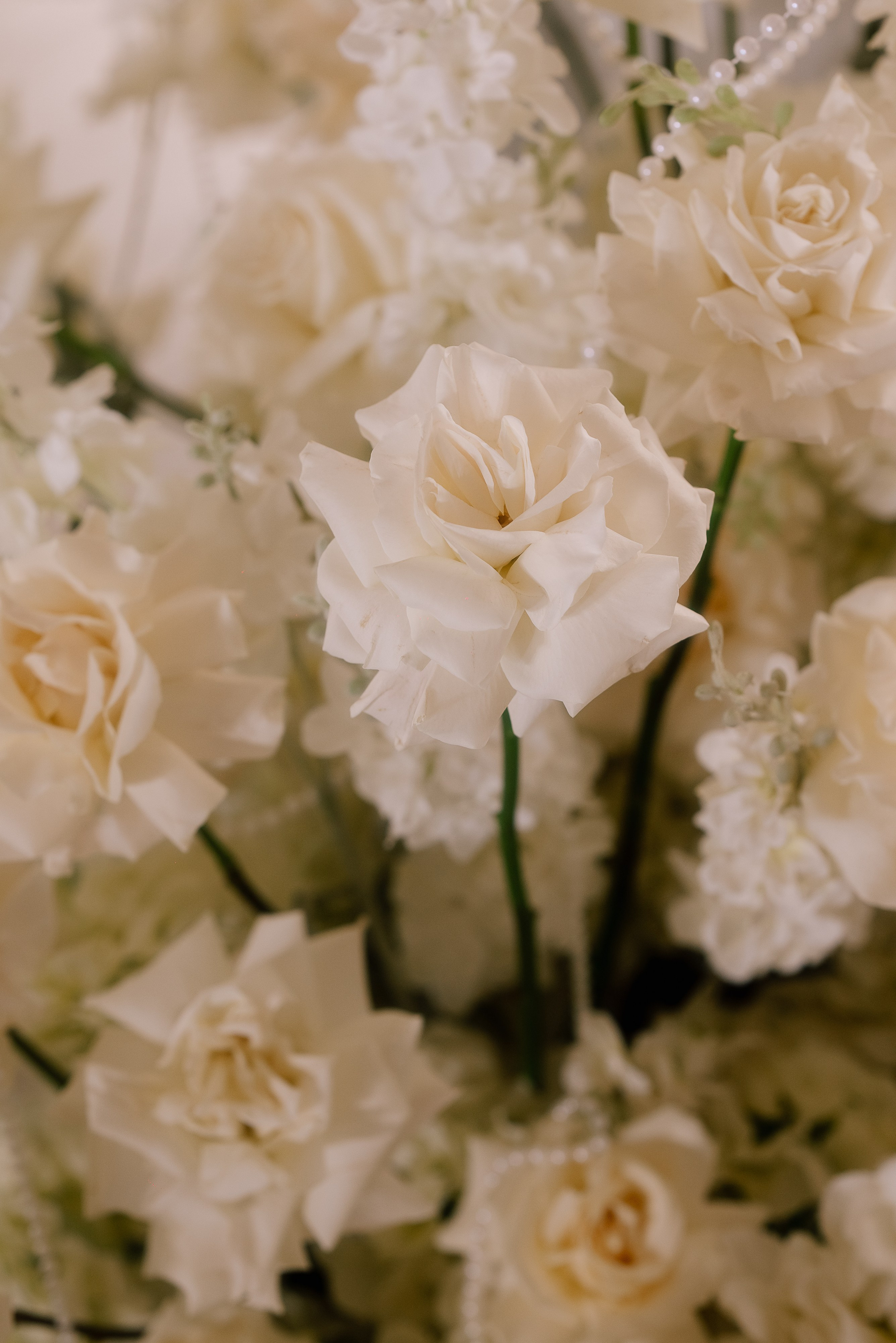 Владислав & Инна 2025. Фотограф Москва. Шульгинова Ольга