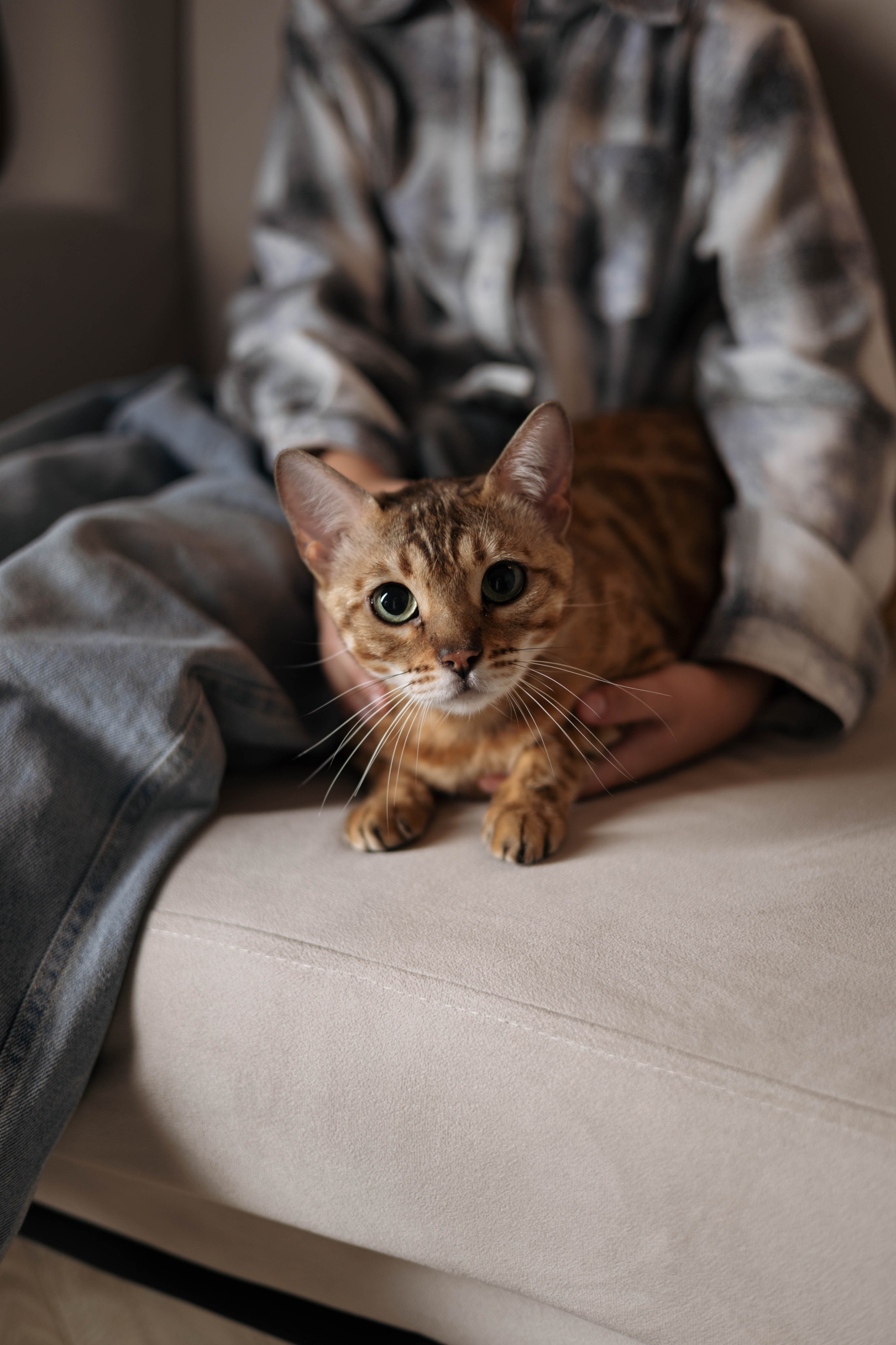 Семейная история. Фотограф Сальск Катерина