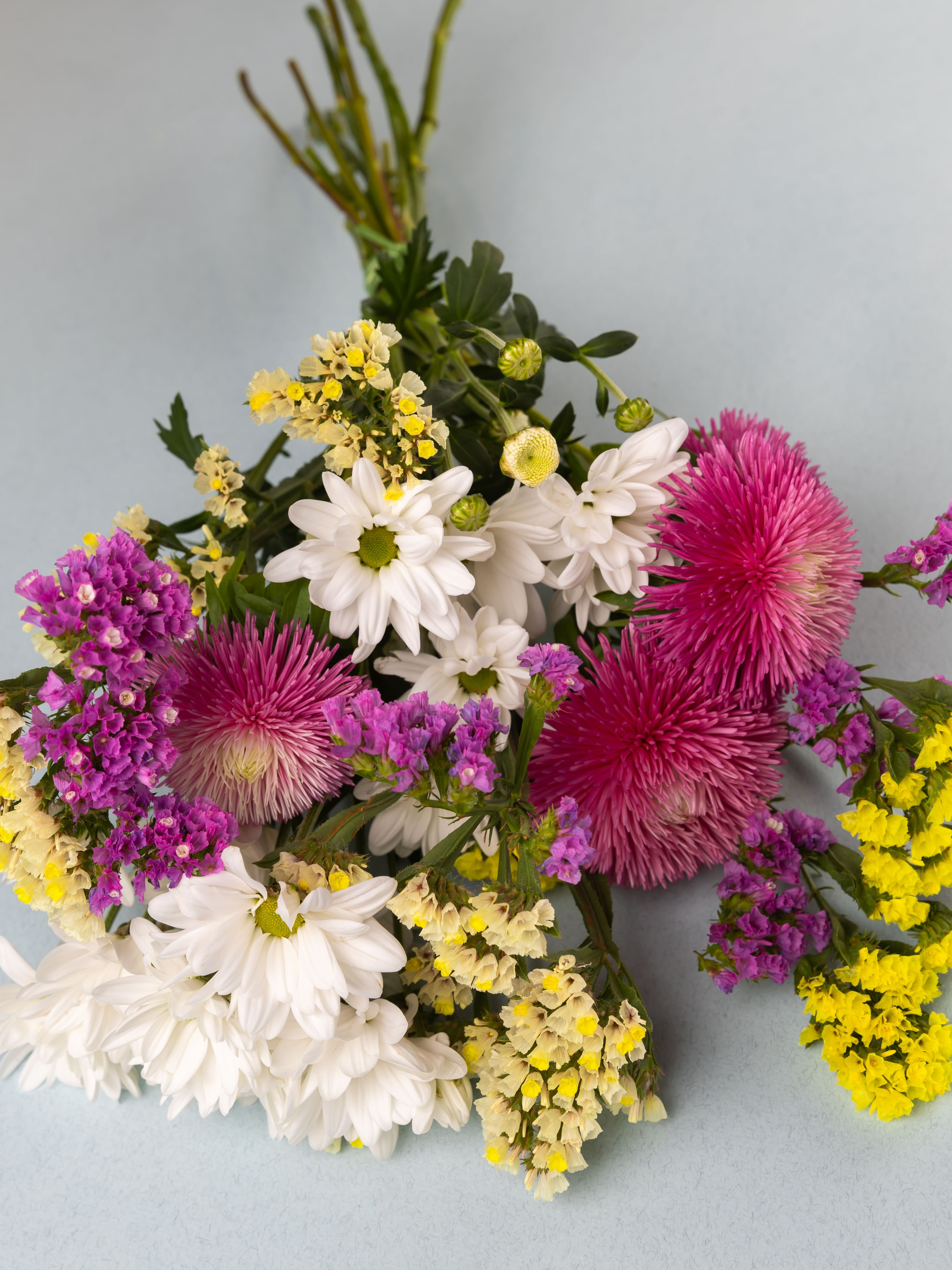 ЦВЕТЫ. ФОТОГРАФ ВИНОГРАДОВА ДАРЬЯ