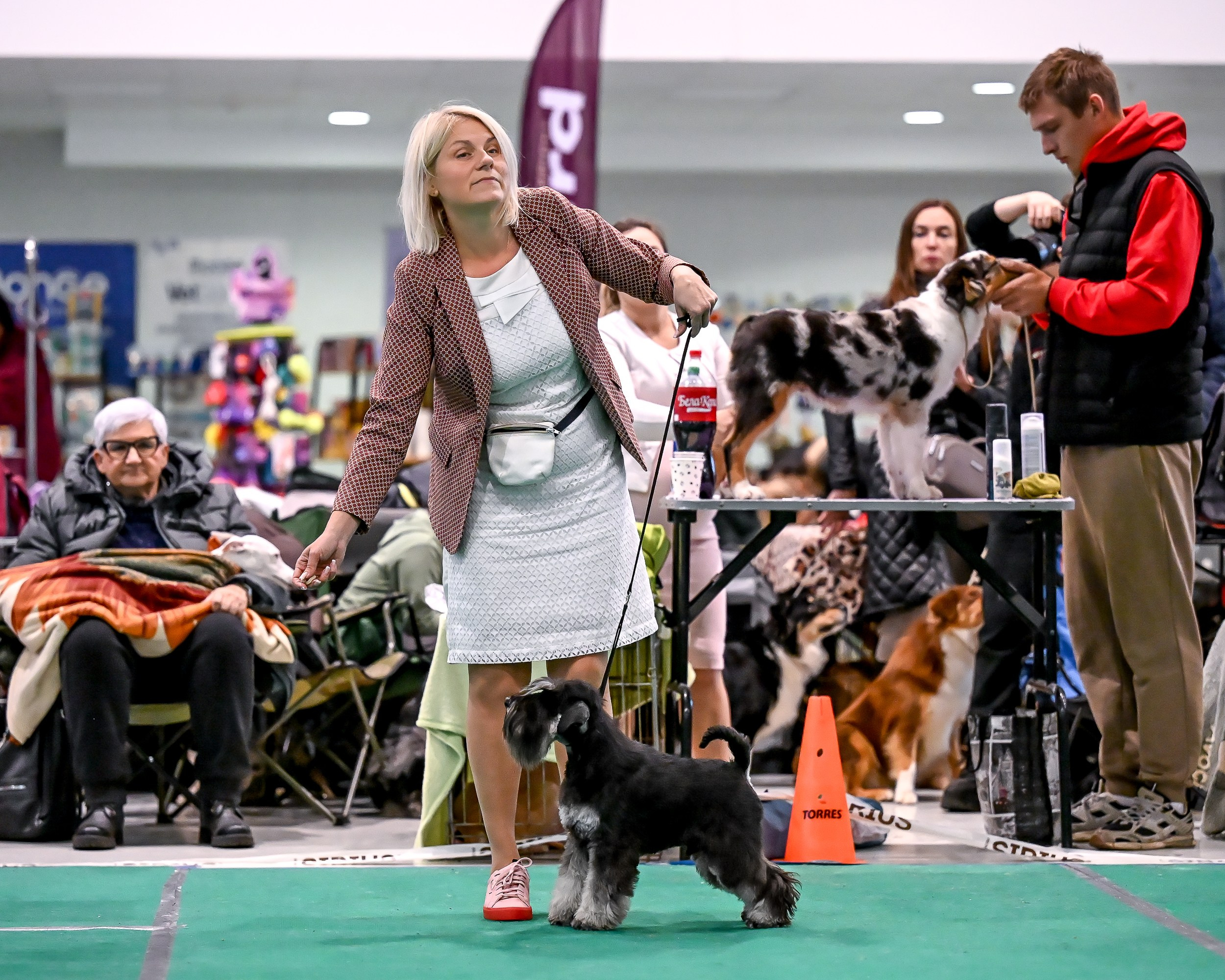 Delinso Balance Chivas Regal (Li Mu Zi Chinese Dragon x Delinso Balance Onyrico Tahoe)