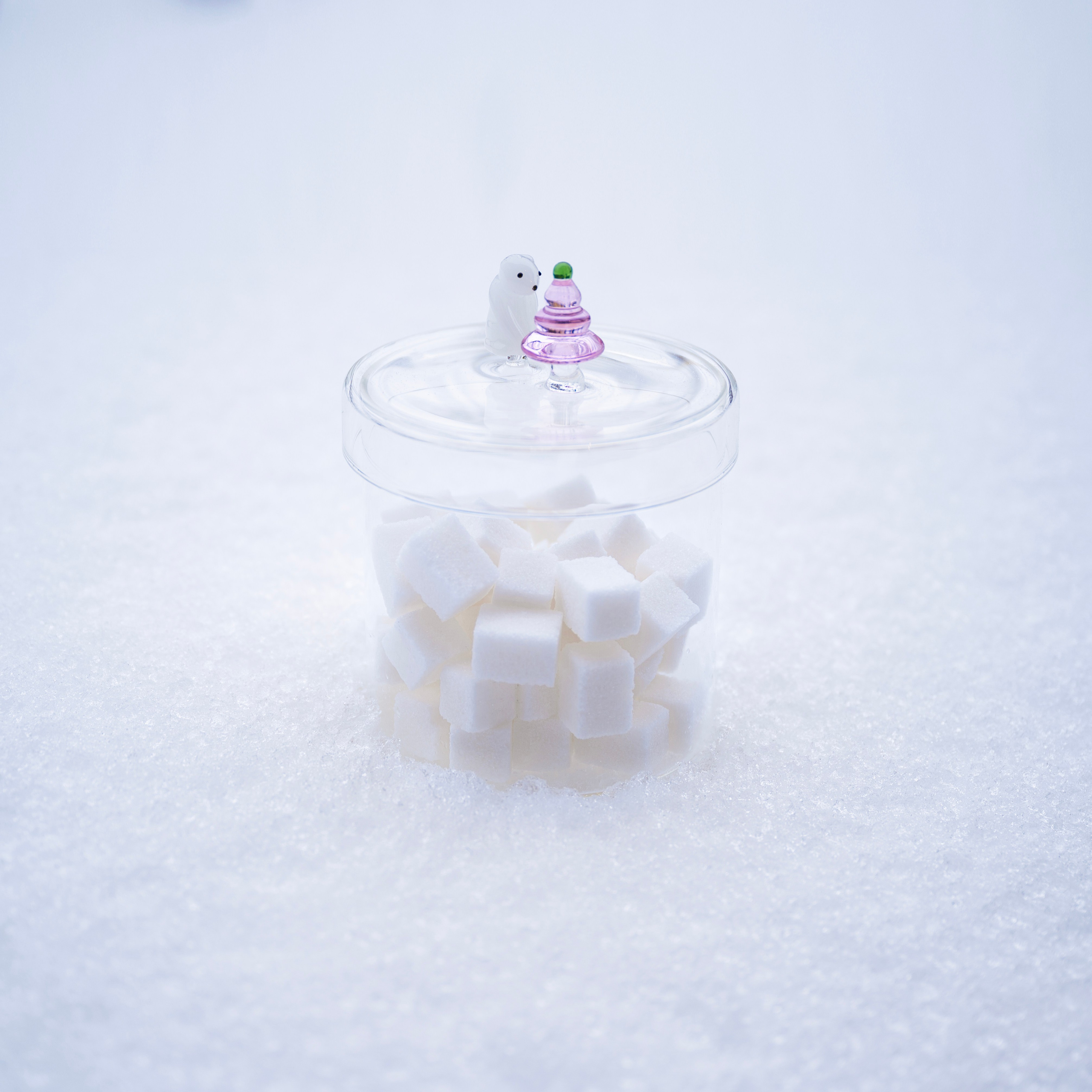 Бренды. Фотограф в Москве. Семейные и индивидуальные фотосессии