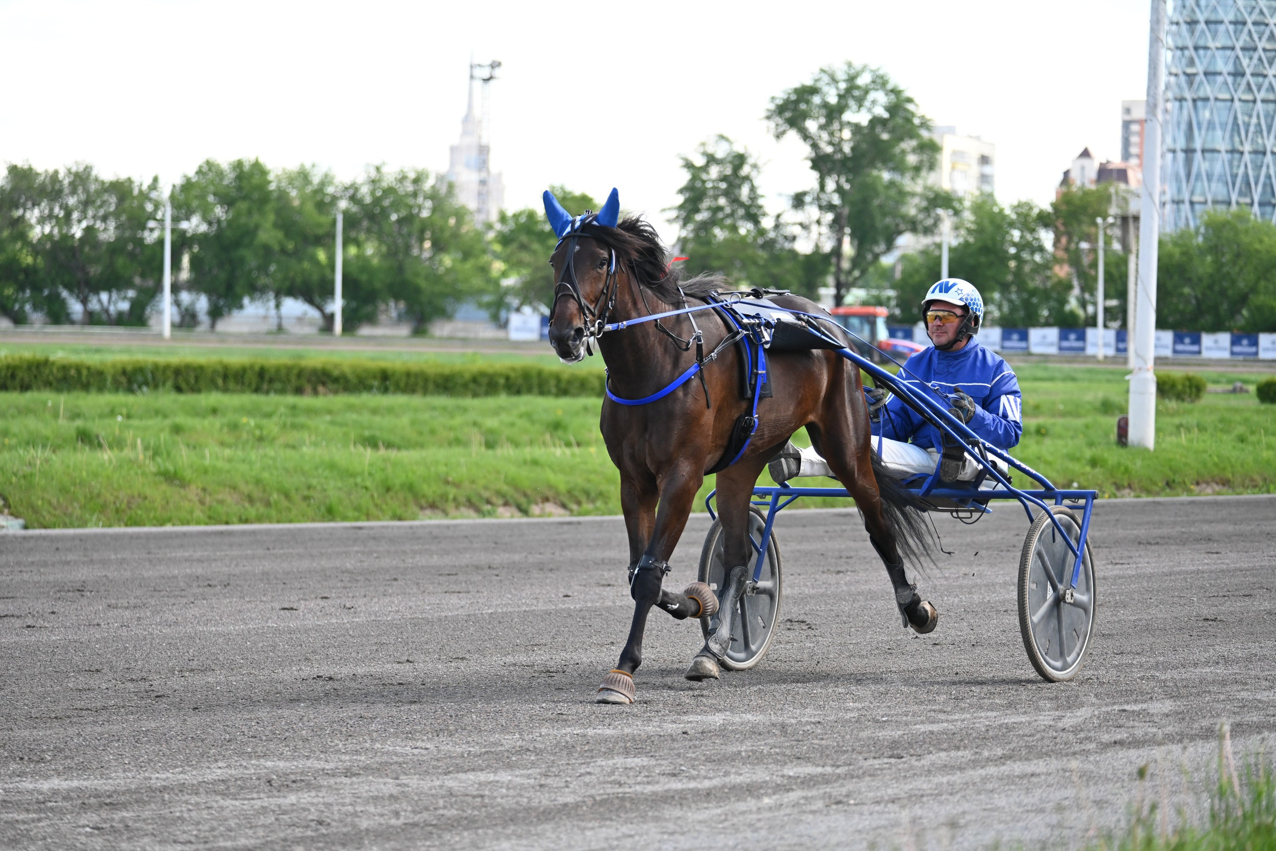 Московский ипподром. Fotolux