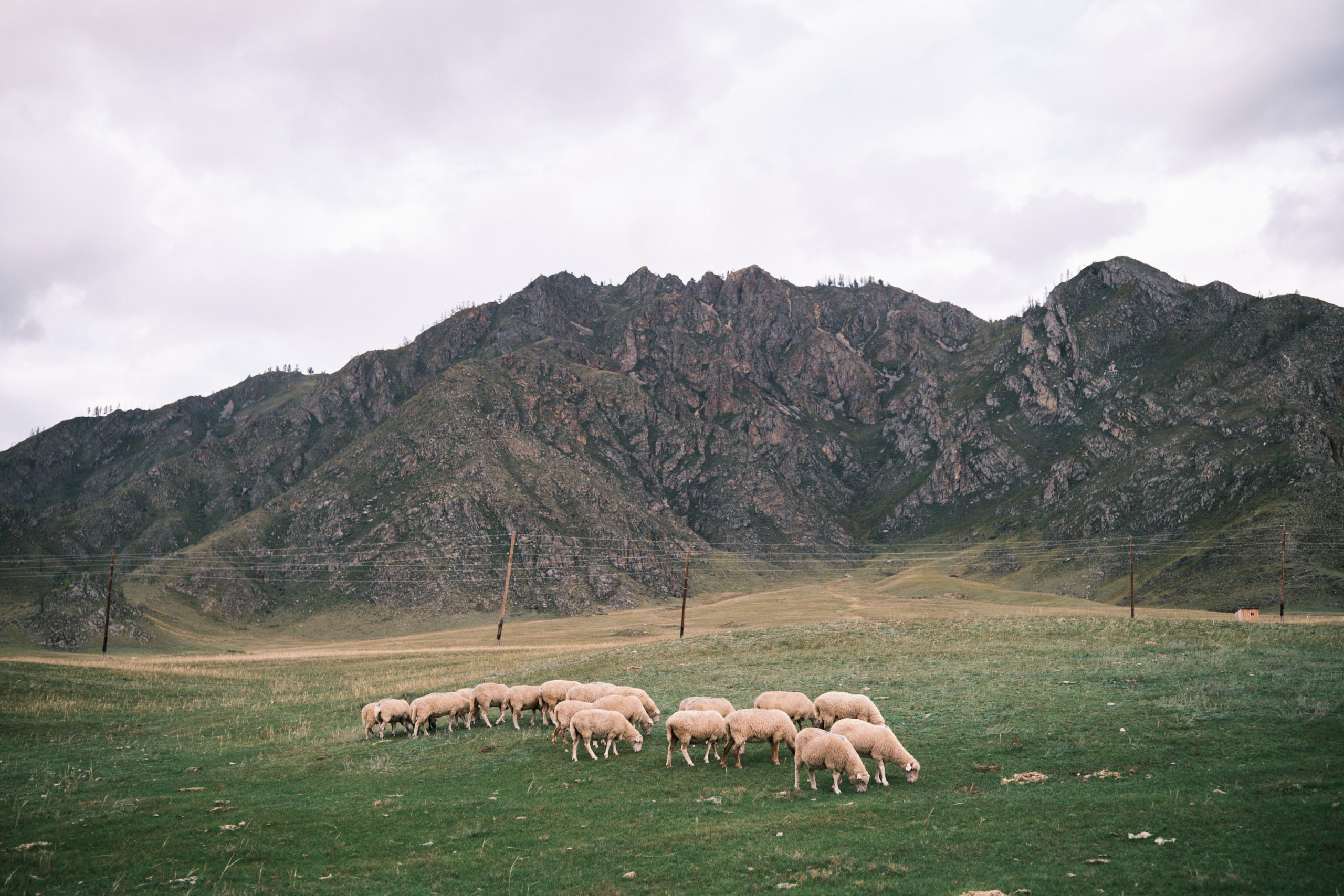 Природа. Антон Ив