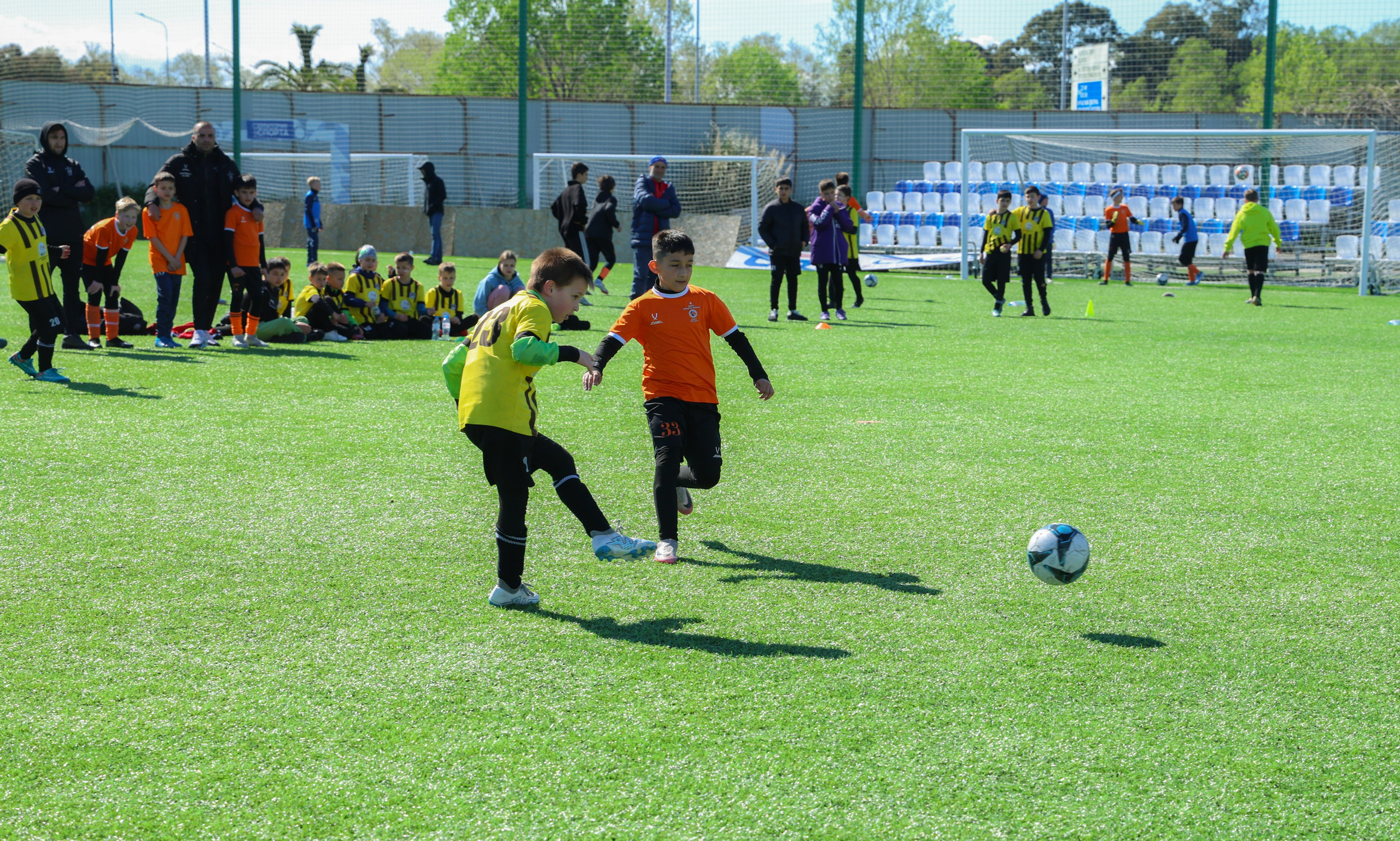 Футбол. Фотограф в Сочи, Краснодаре и Ростове на Дону
