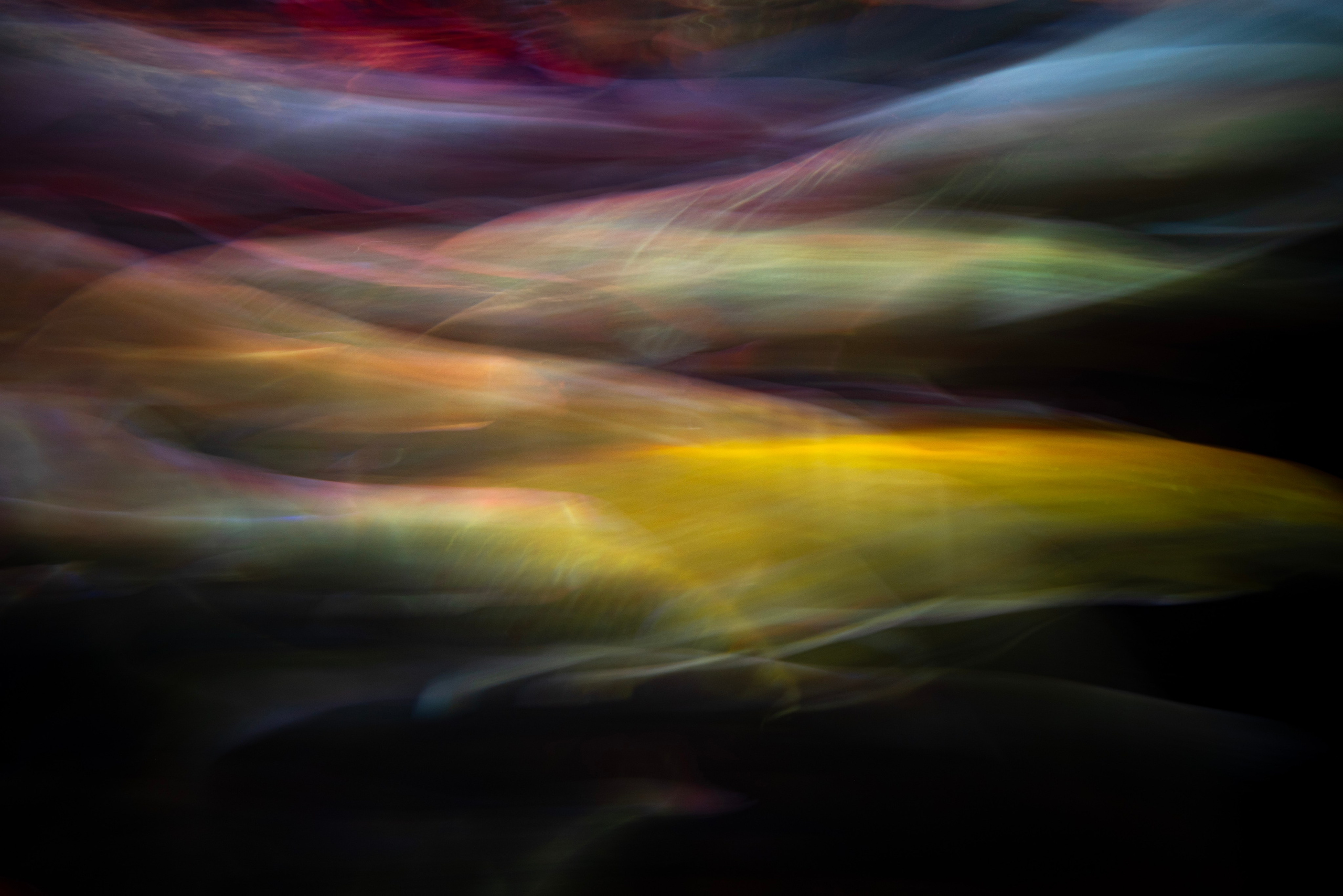 Рыбопись 2024. Яна Каменская