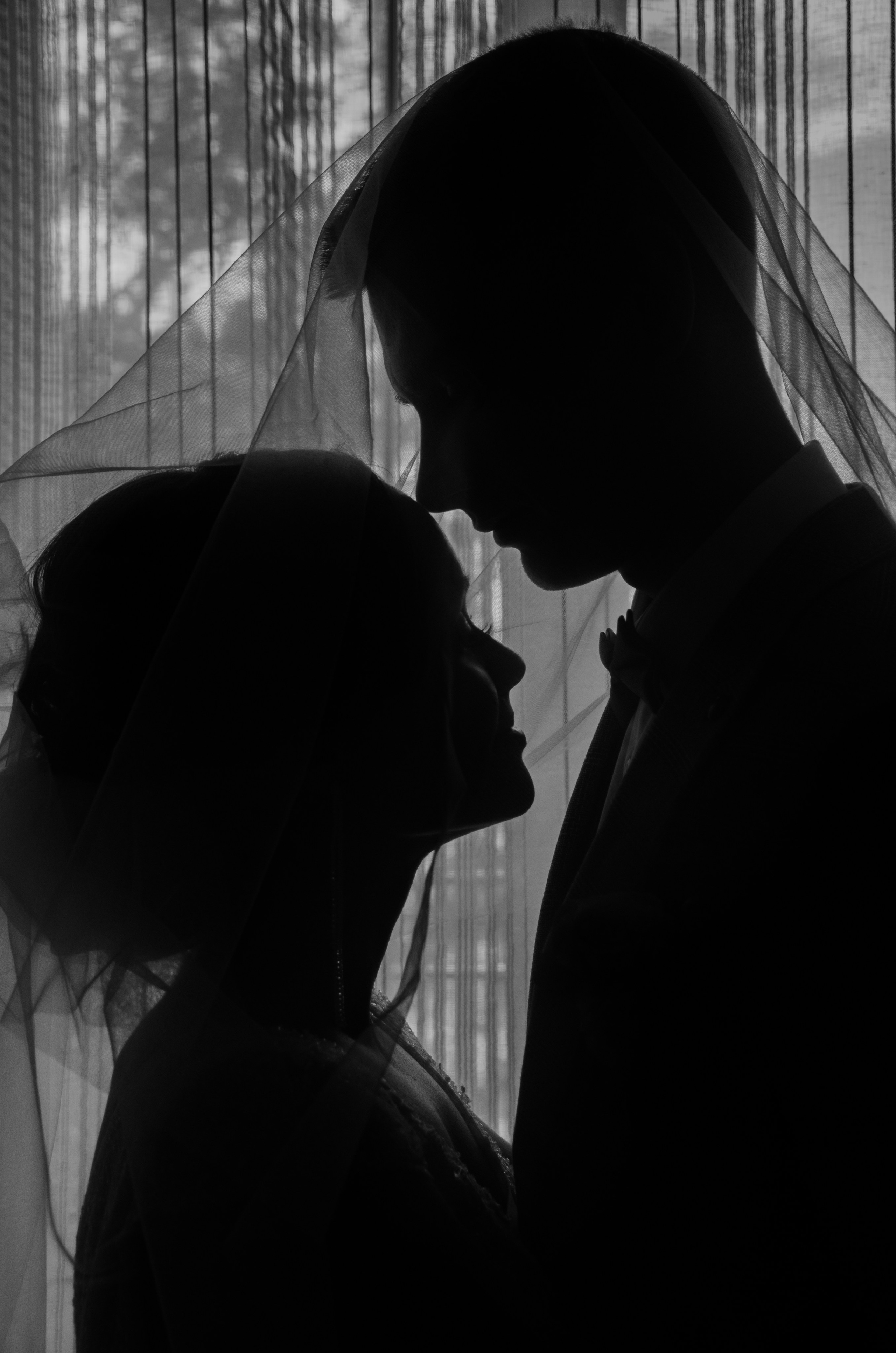 Фотосессии. Фотограф Универсал в Новосибирске