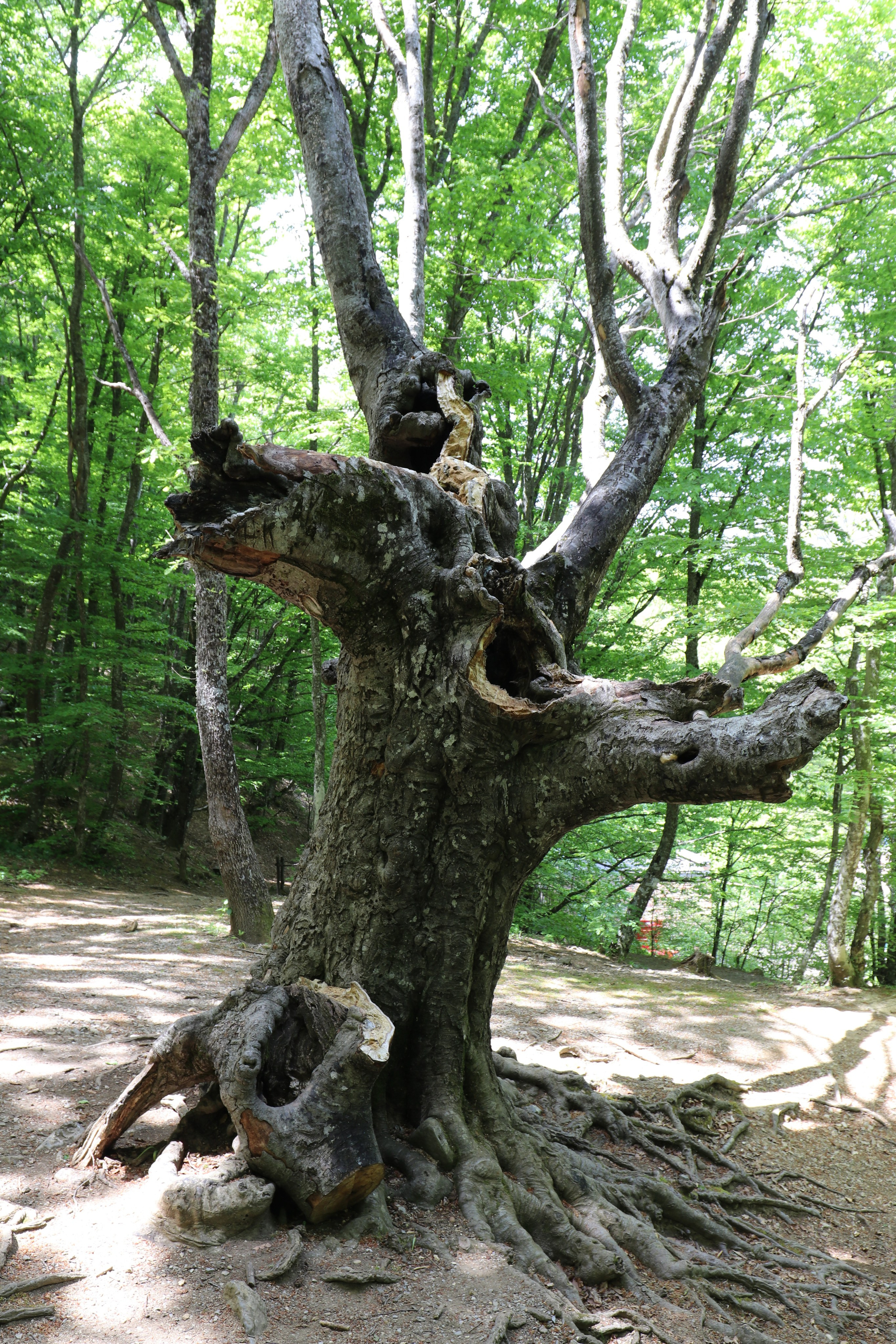 Крым. ЮБК (Бахчисарай, Демерджи, Судак). Первый скалолазный выезд. Май 2019. Путешественник-фотограф из Санкт-Петербурга Татьяна Свистулина