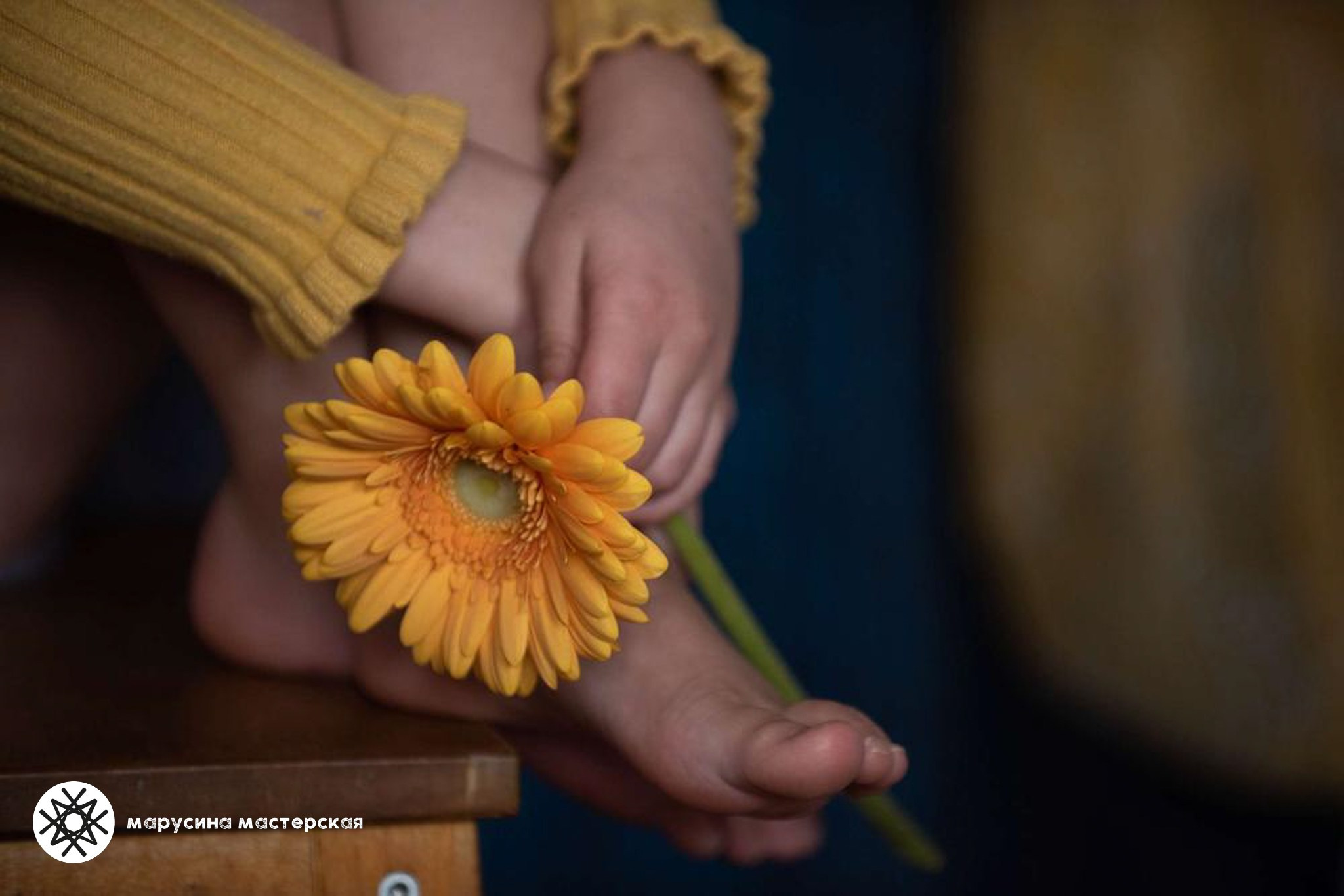 Учебная работа по построению кадра