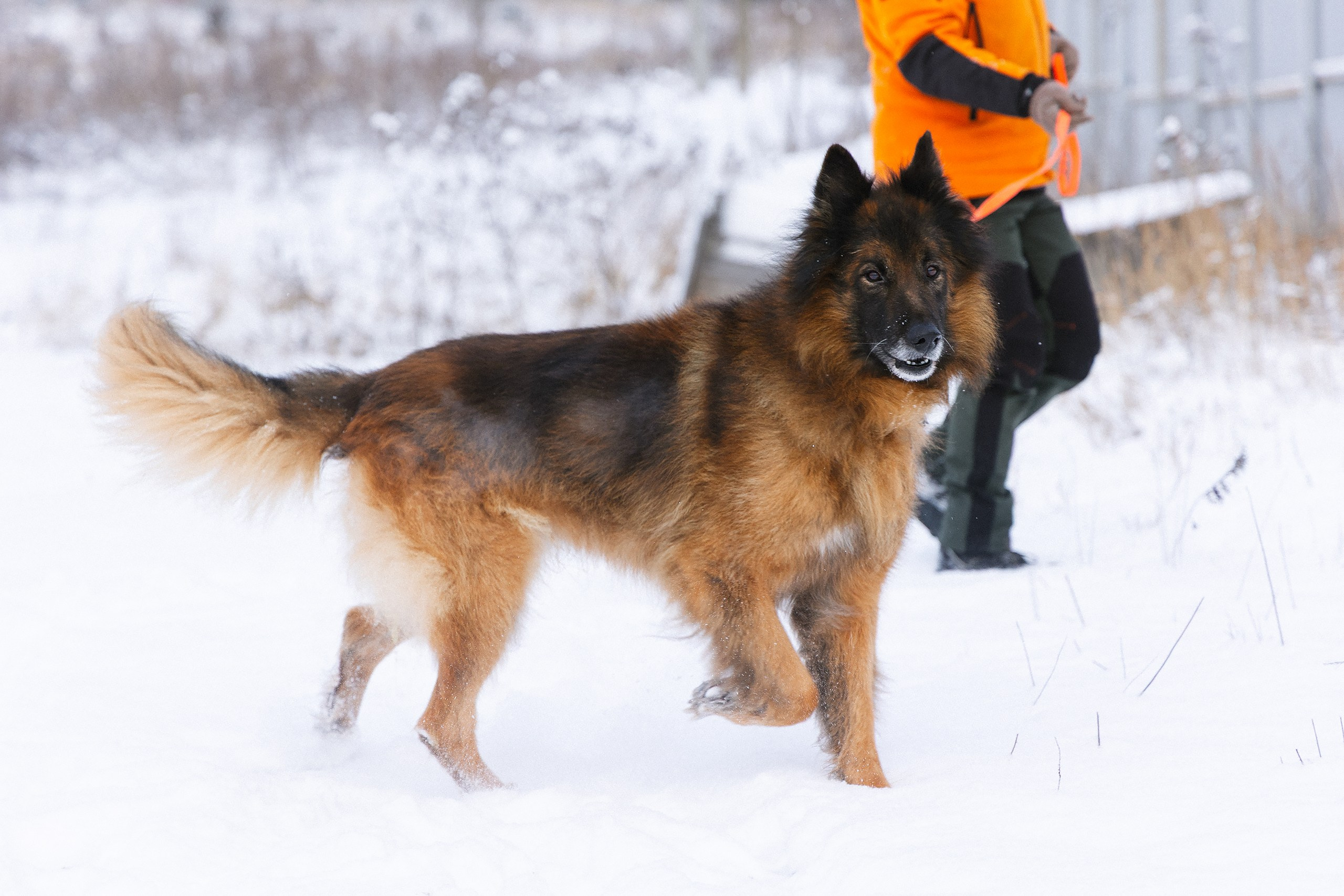 Пиар. Фотограф Ирина Астор