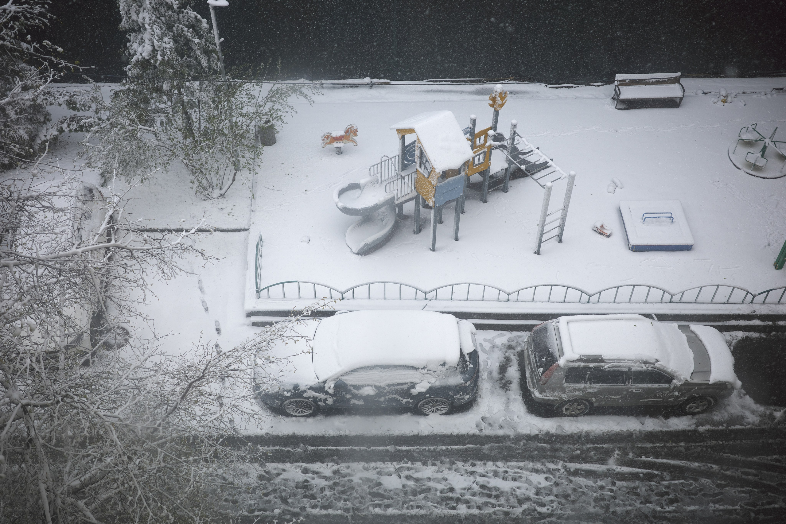 Апрельский снег ❄️. Миша Печёнкин | фотография