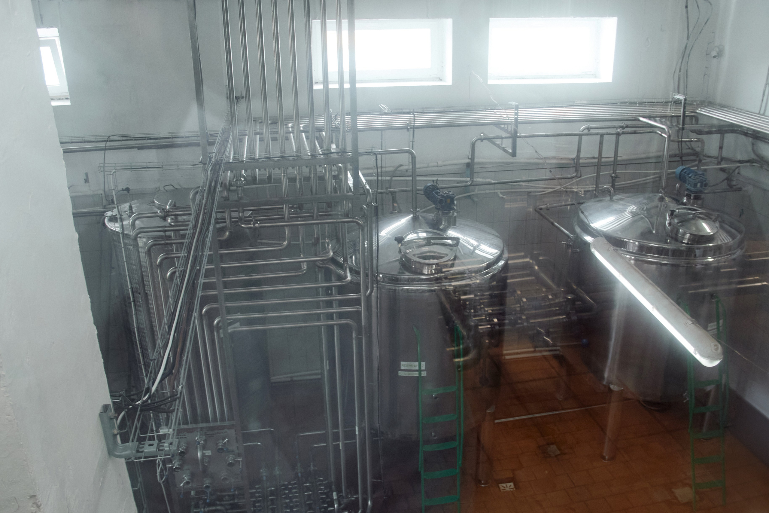 Экскурсия «Агроферма-Катынь». Фотограф в Смоленске Ася Польшина