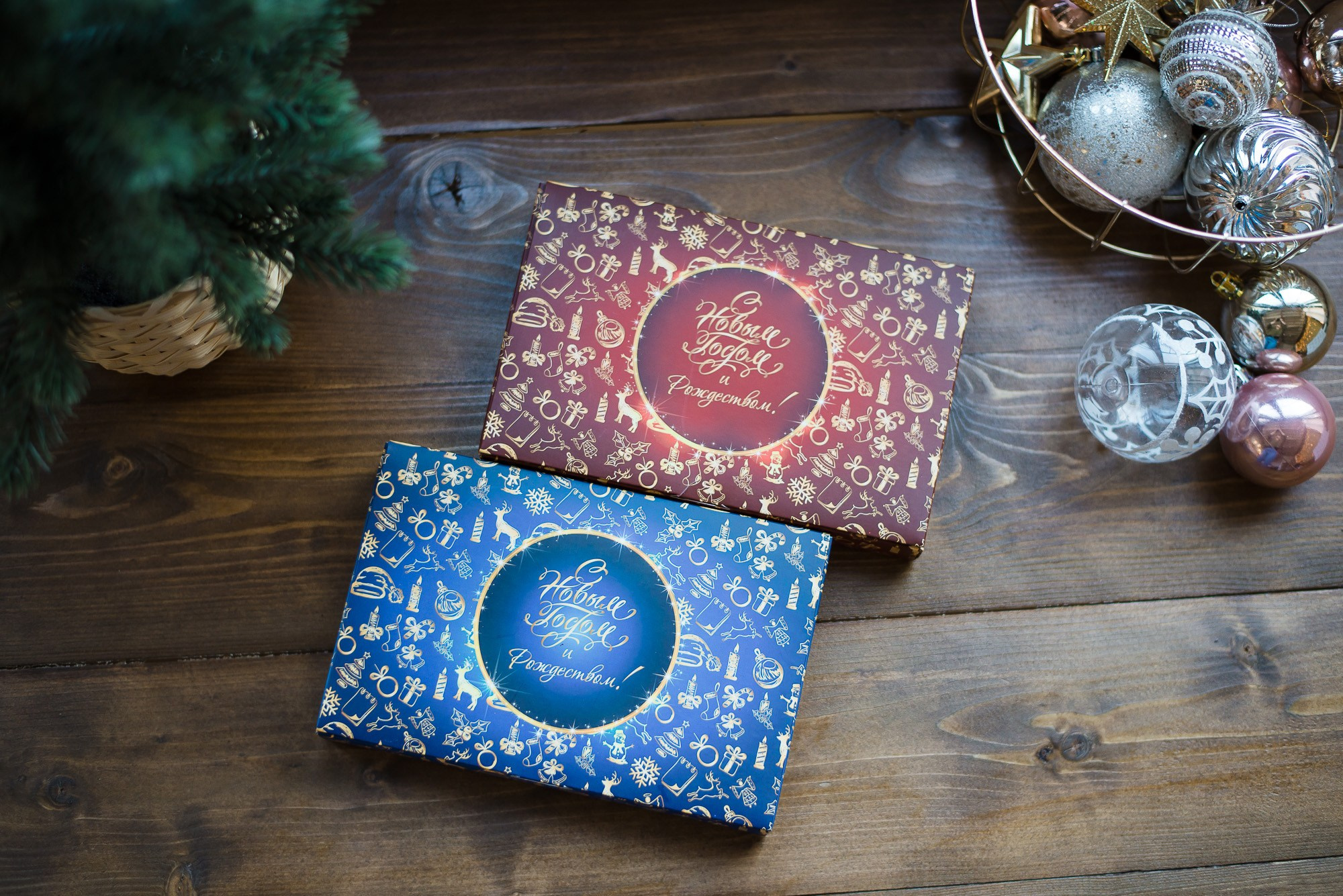 Chocodiva. Фотограф Евгения Куликова