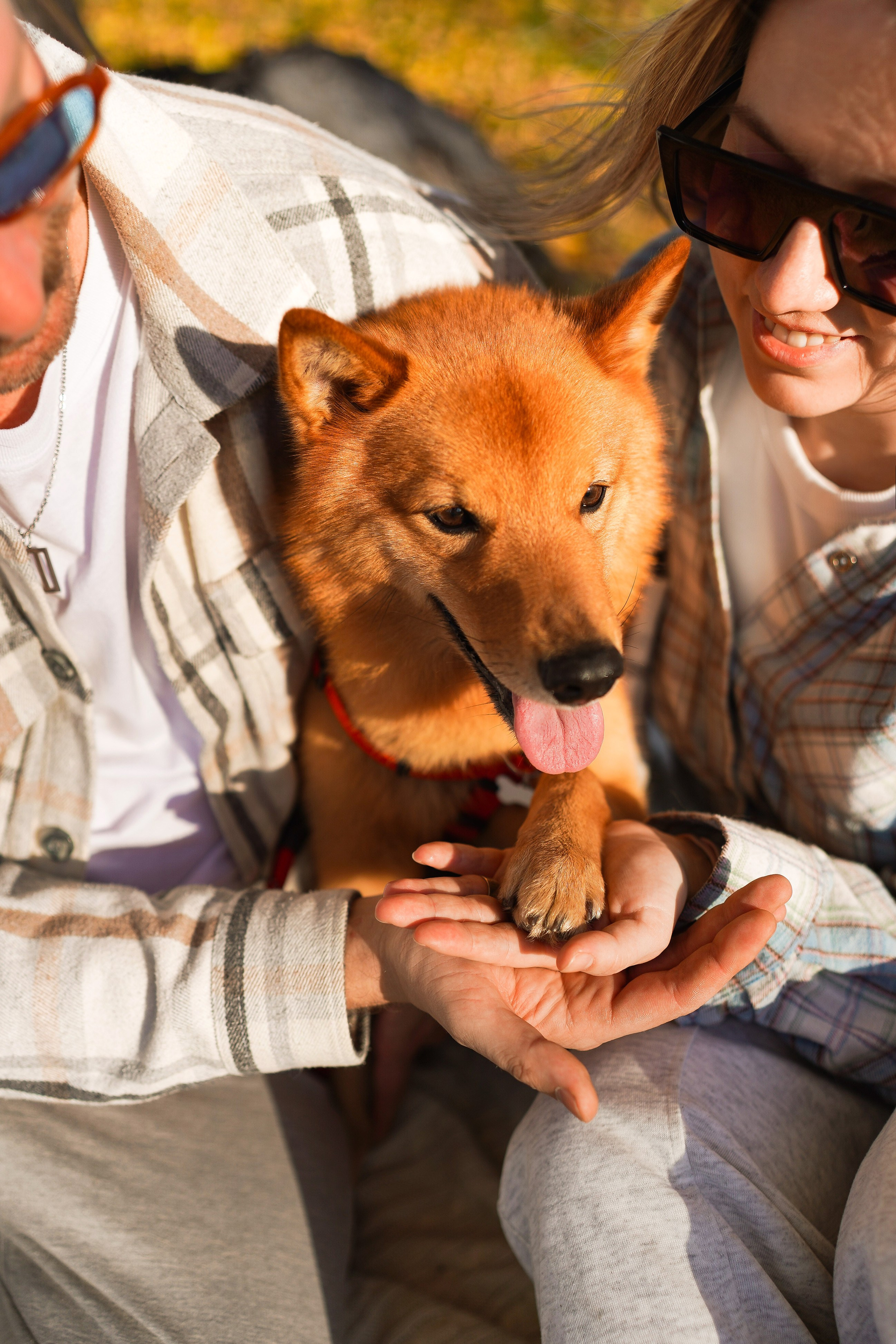 Смотреть серию. ЖЕНСКИЙ ФОТОГРАФ КРИСТИНА ВИГЕЛЬ