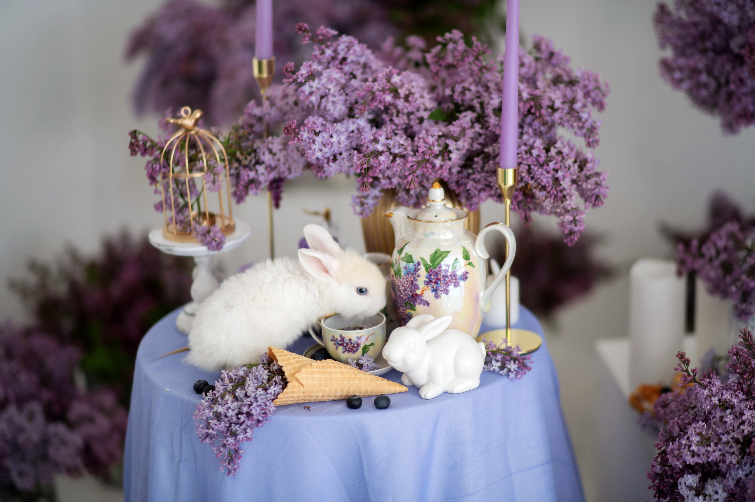 «Сирень». Детский и семейный фотограф Москва Рязань