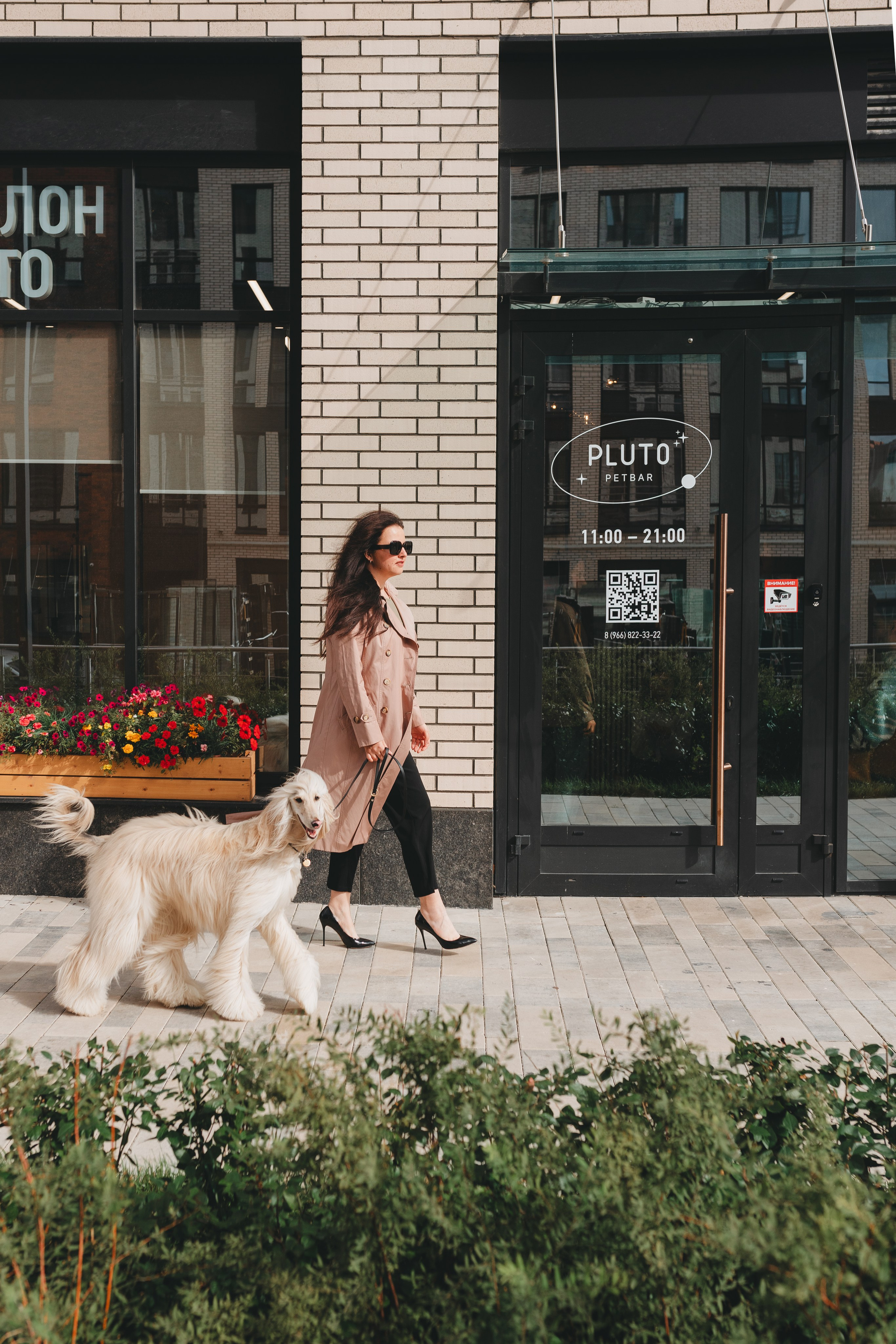 Груминг — салон. Фотограф анималист Осипчикова Мария