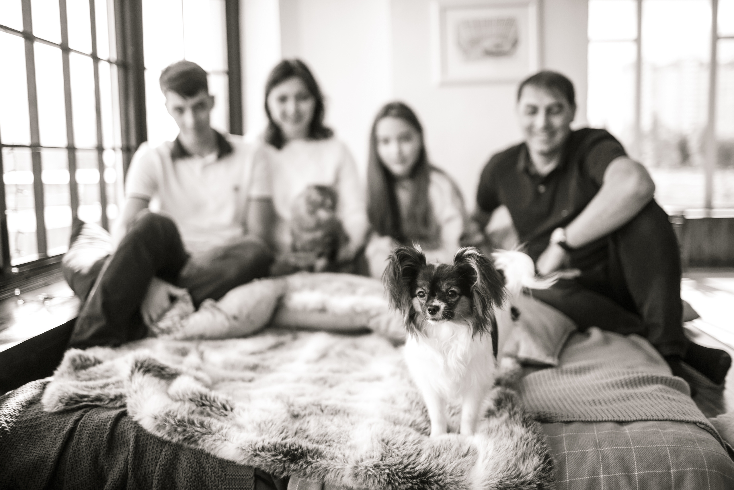 Семейная фотосессия. Свадебный и репортажный фотограф (Москва, Королев и другие)