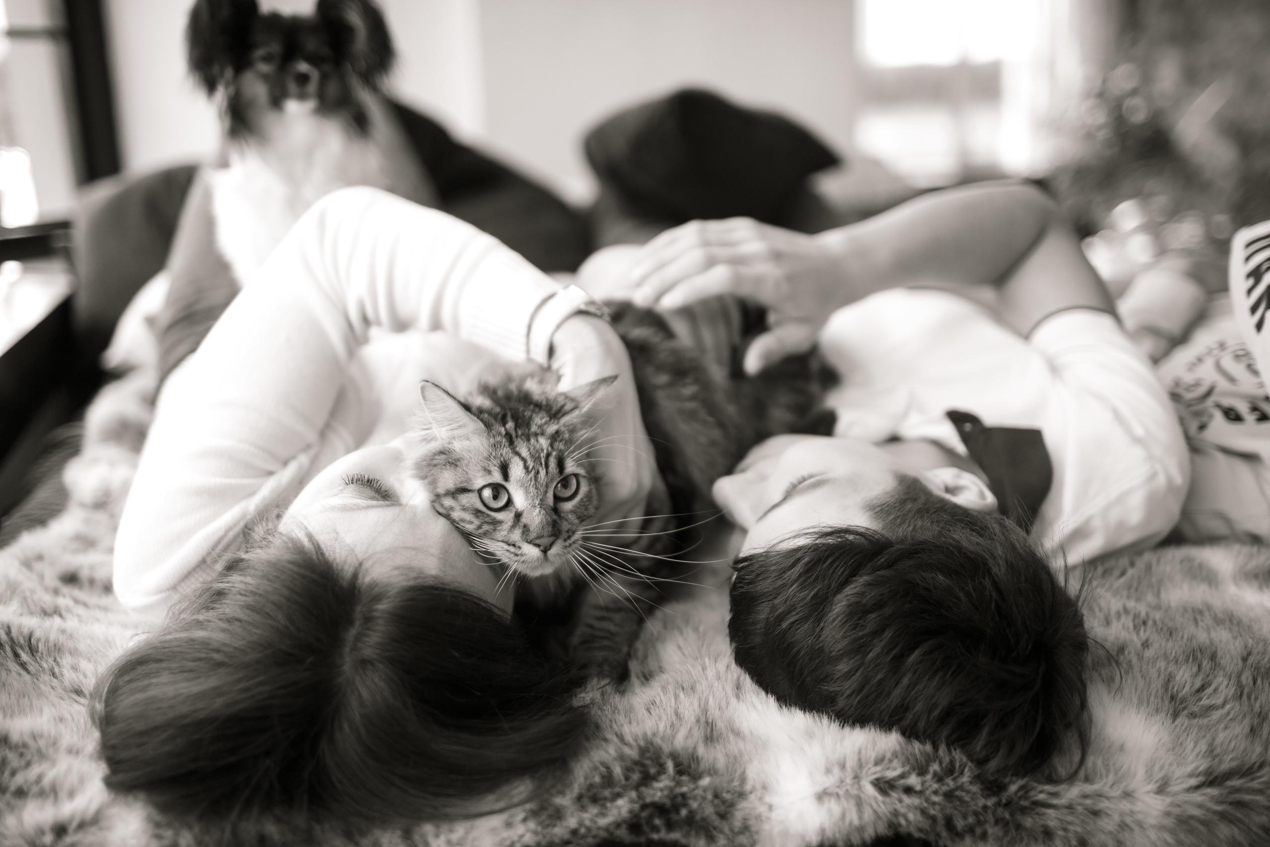 Семейная фотосессия. Свадебный и репортажный фотограф (Москва, Королев и другие)