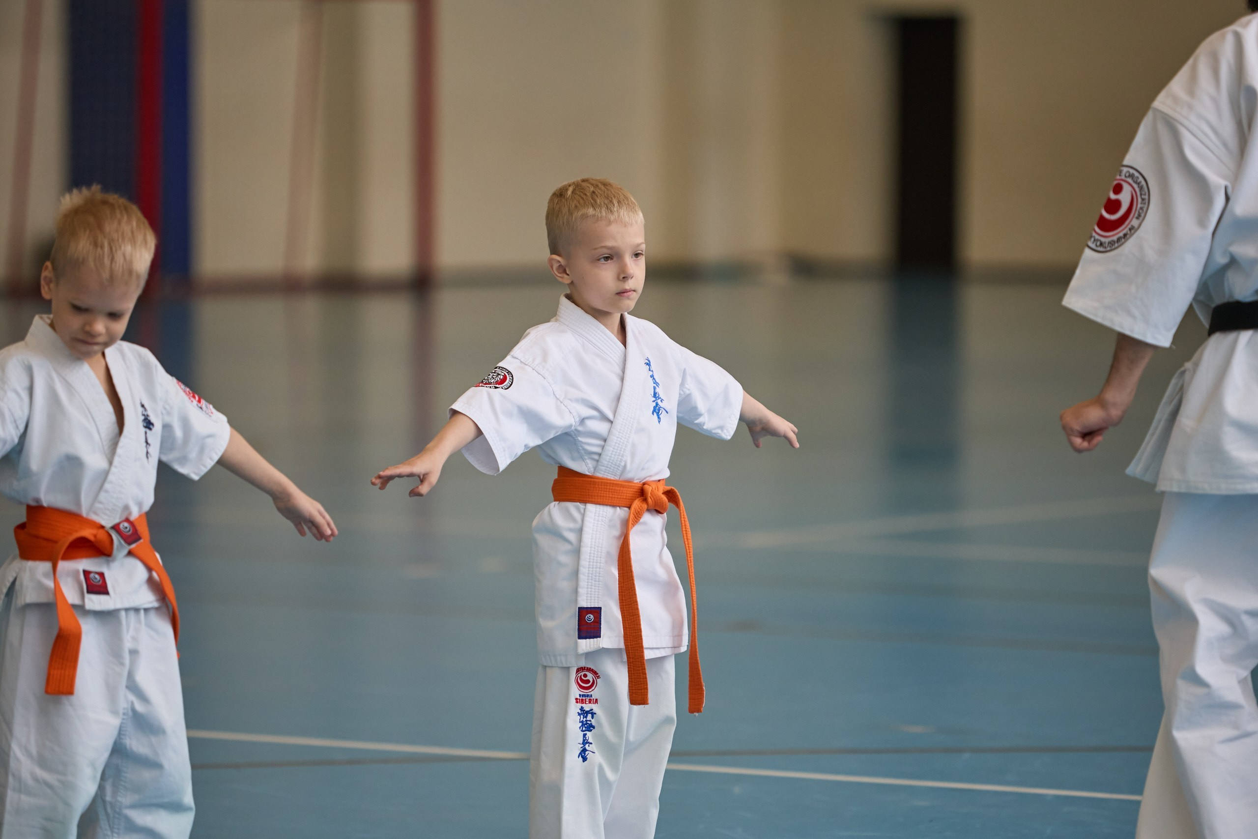 КАРАТЕ. Фото. Спортивный фотограф, трансляция, звук и свет в Новосибирске