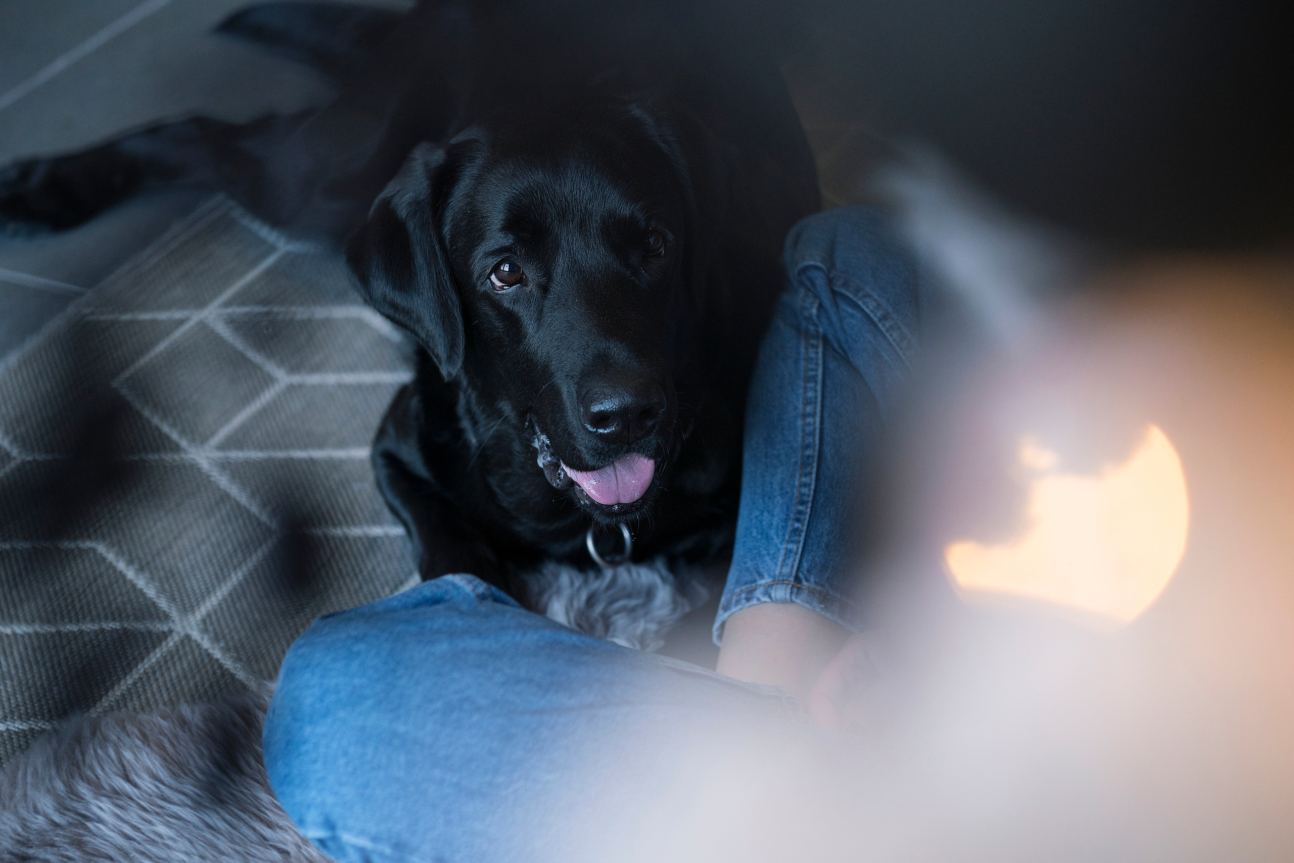 Семейная новогодняя съемка Света, Саша, Тоня, Гордей и Бруно. Фотограф, эмпат, телесный терапевт в Москве Ольга Трушина