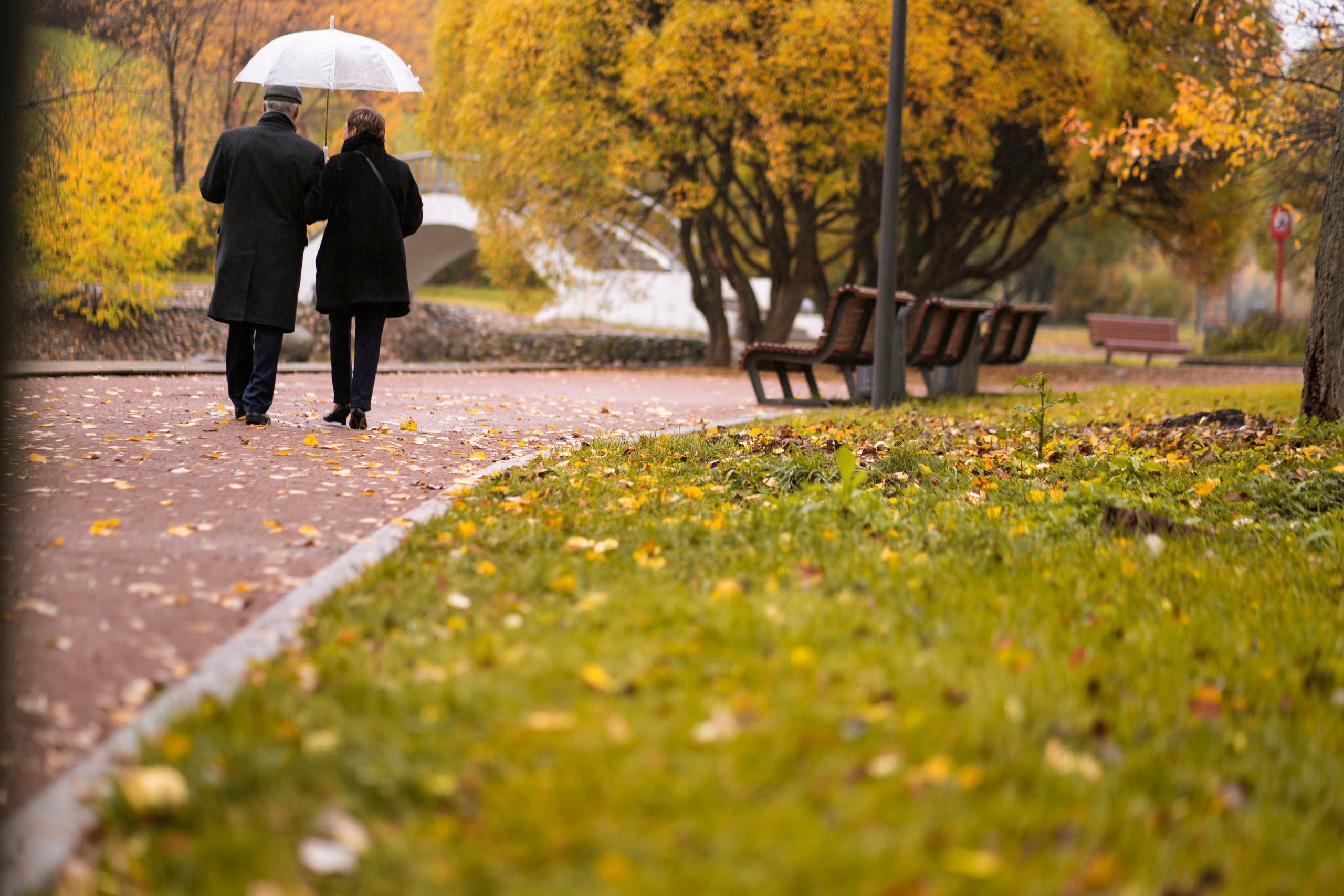 Осенняя love story. Фотограф, эмпат, телесный терапевт в Москве Ольга Трушина