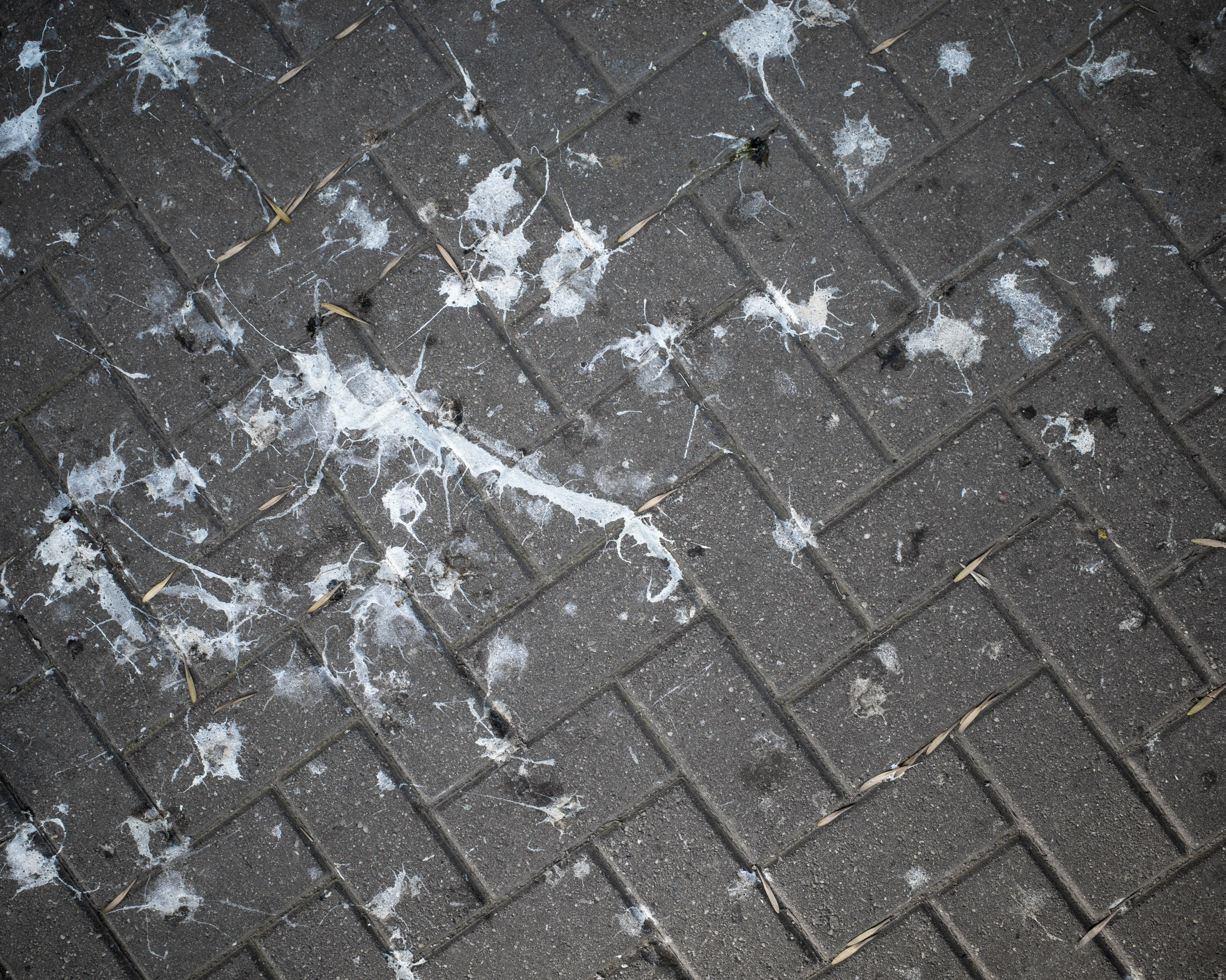 Живые Улицы: Стрит Фотографии Со Всего Мира. Максим Харитончик — фотограф