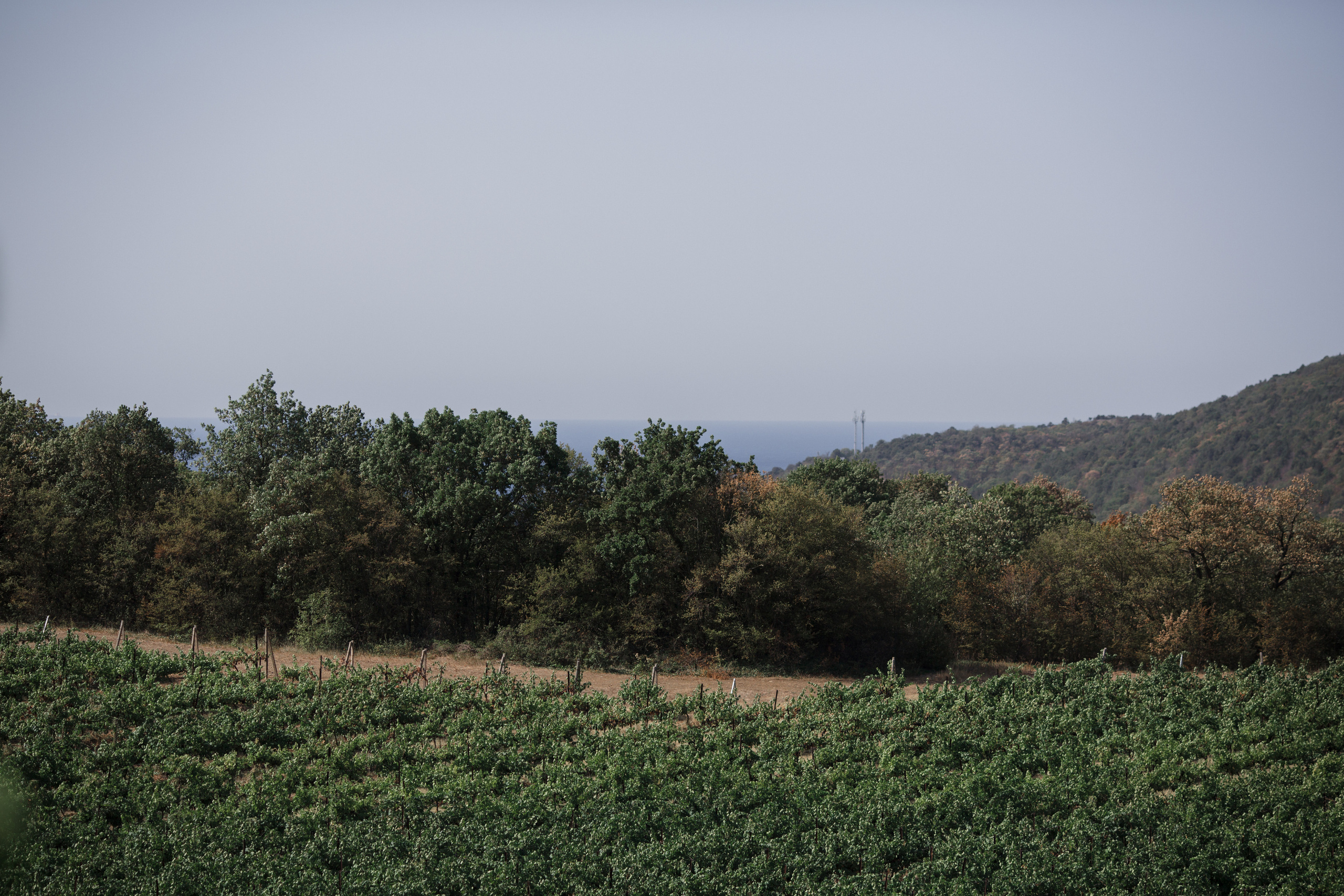 Григорий и Мария. Свадебный и семейный фотограф в Краснодаре