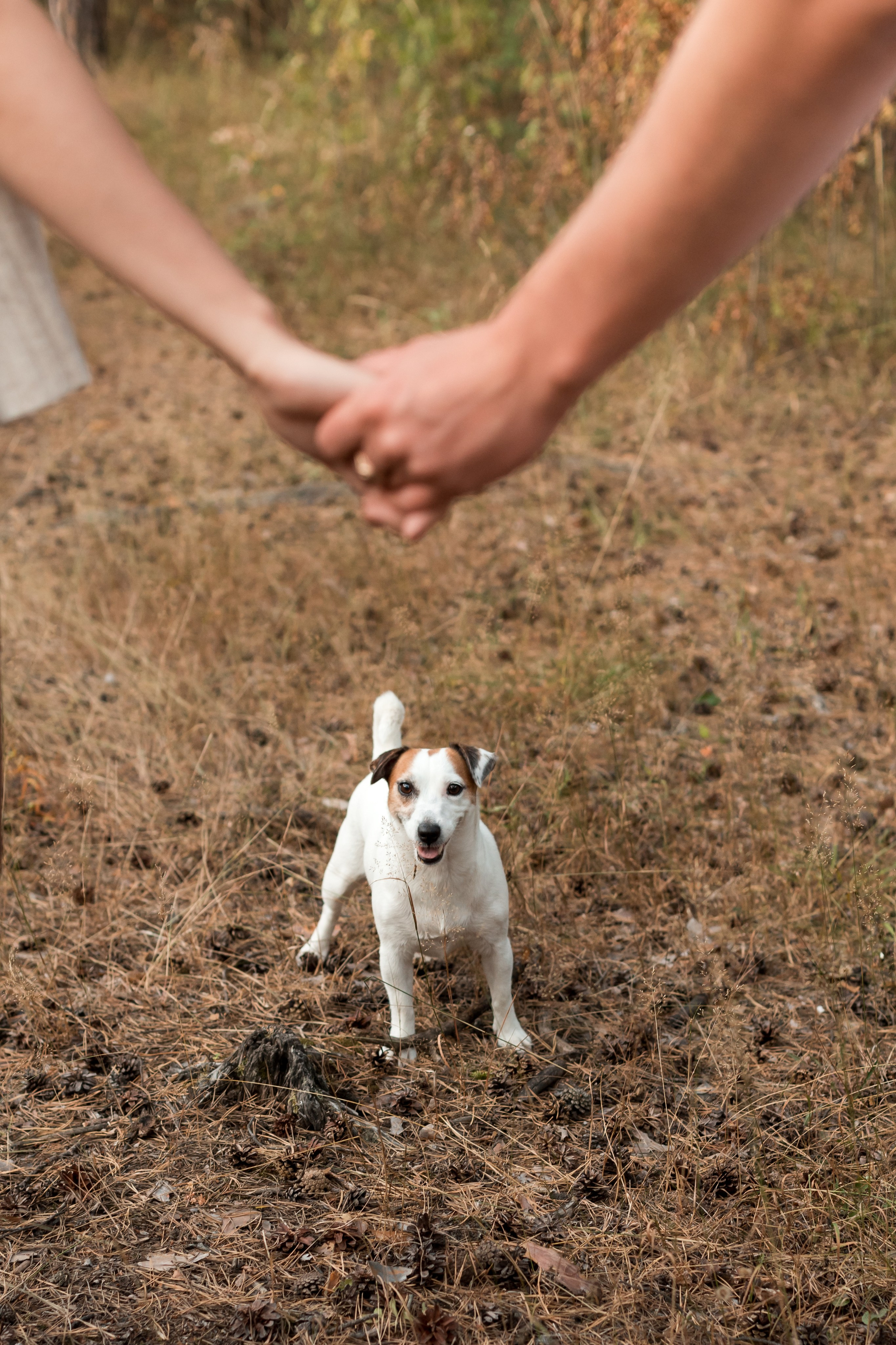 Красивые локации Перми. Семейный и детский фотограф в Перми Ксения Масленникова