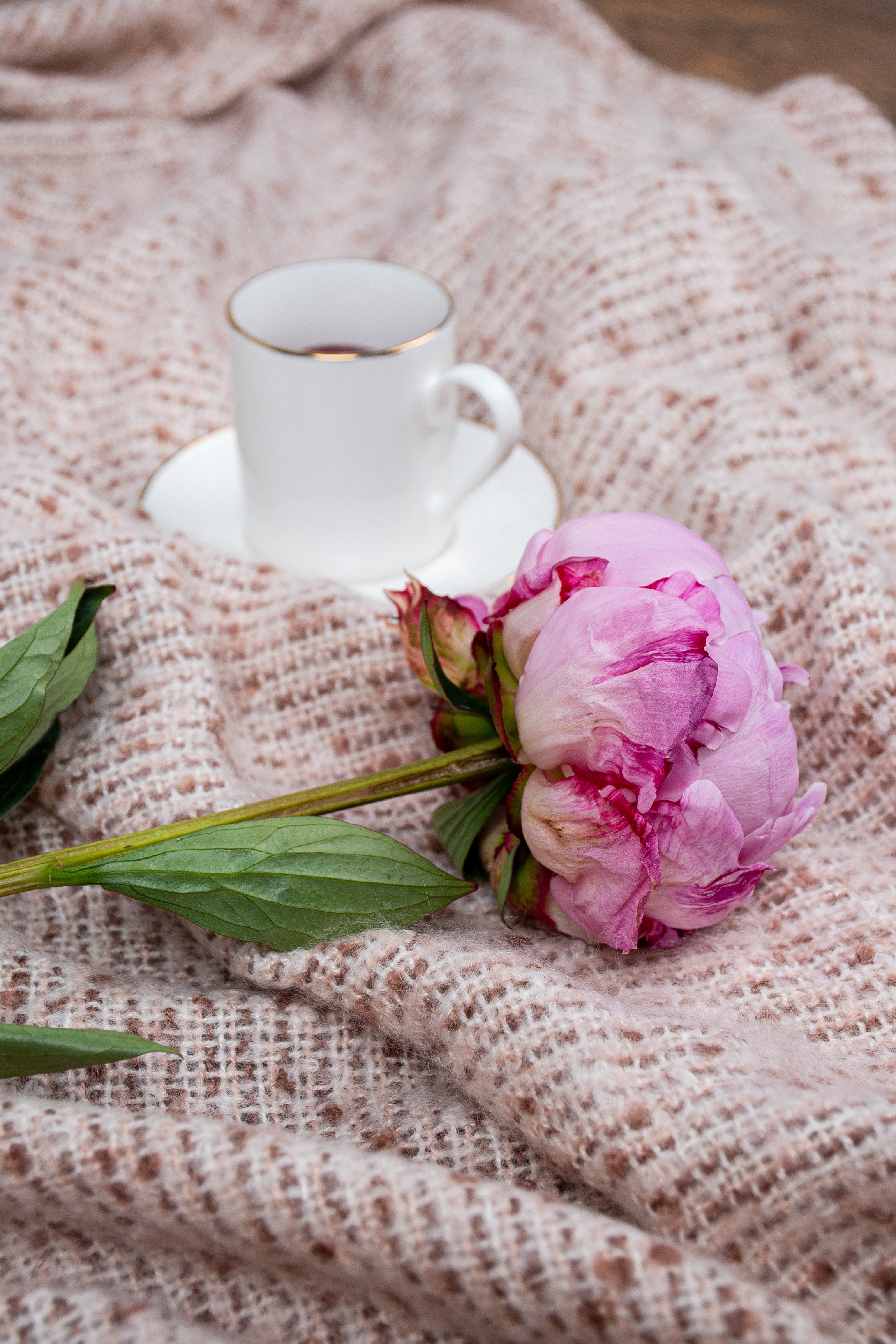 Blankets. Elizaveta Filchenko. Fashion-photographer and director