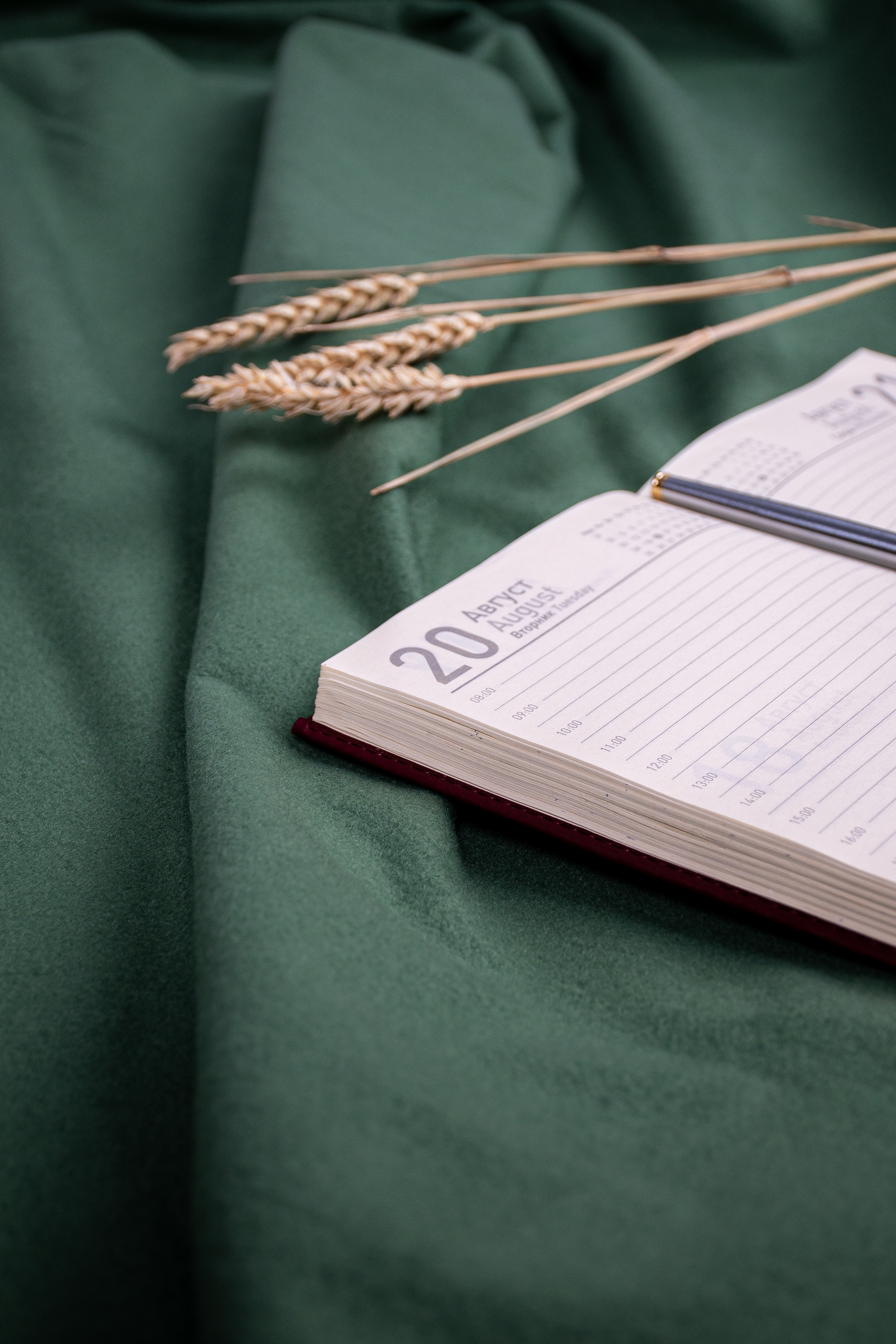 Blankets. Elizaveta Filchenko. Fashion-photographer and director