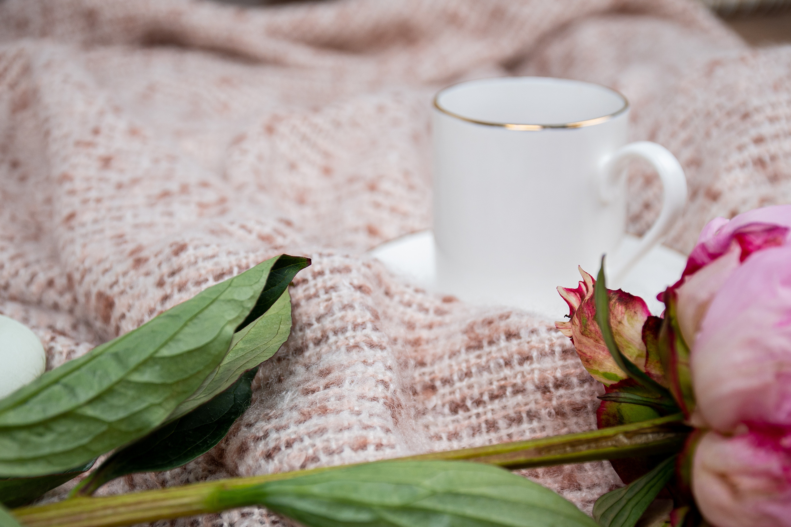 Blankets. Elizaveta Filchenko. Fashion-photographer and director