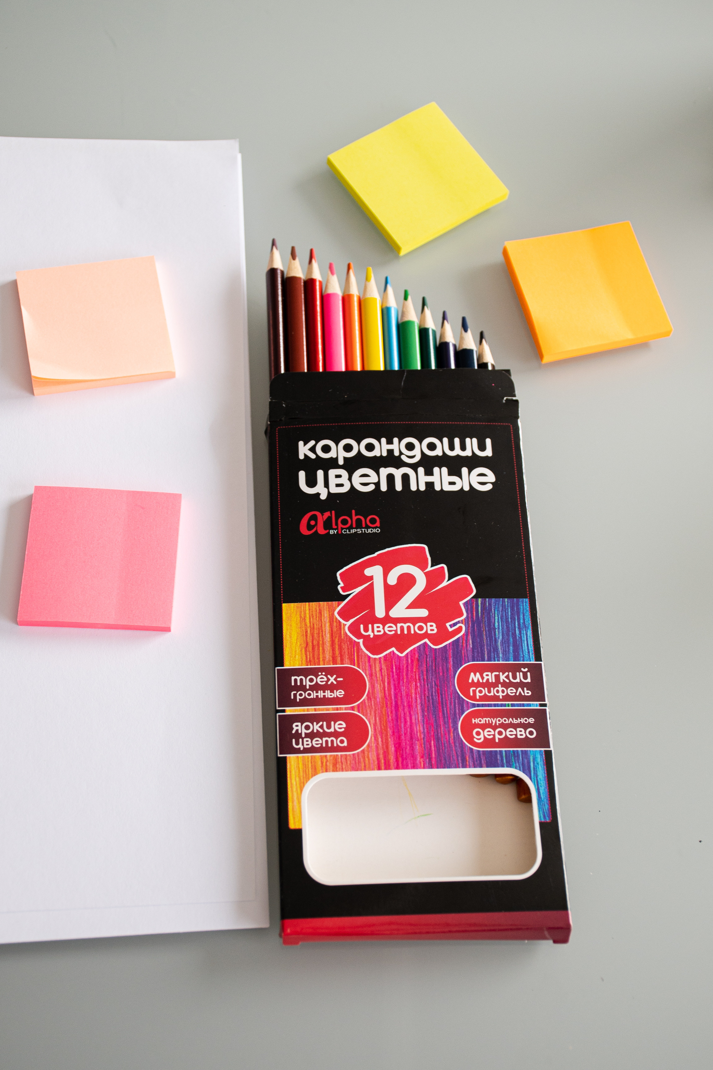 Chancellery. Elizaveta Filchenko. Fashion-photographer and director