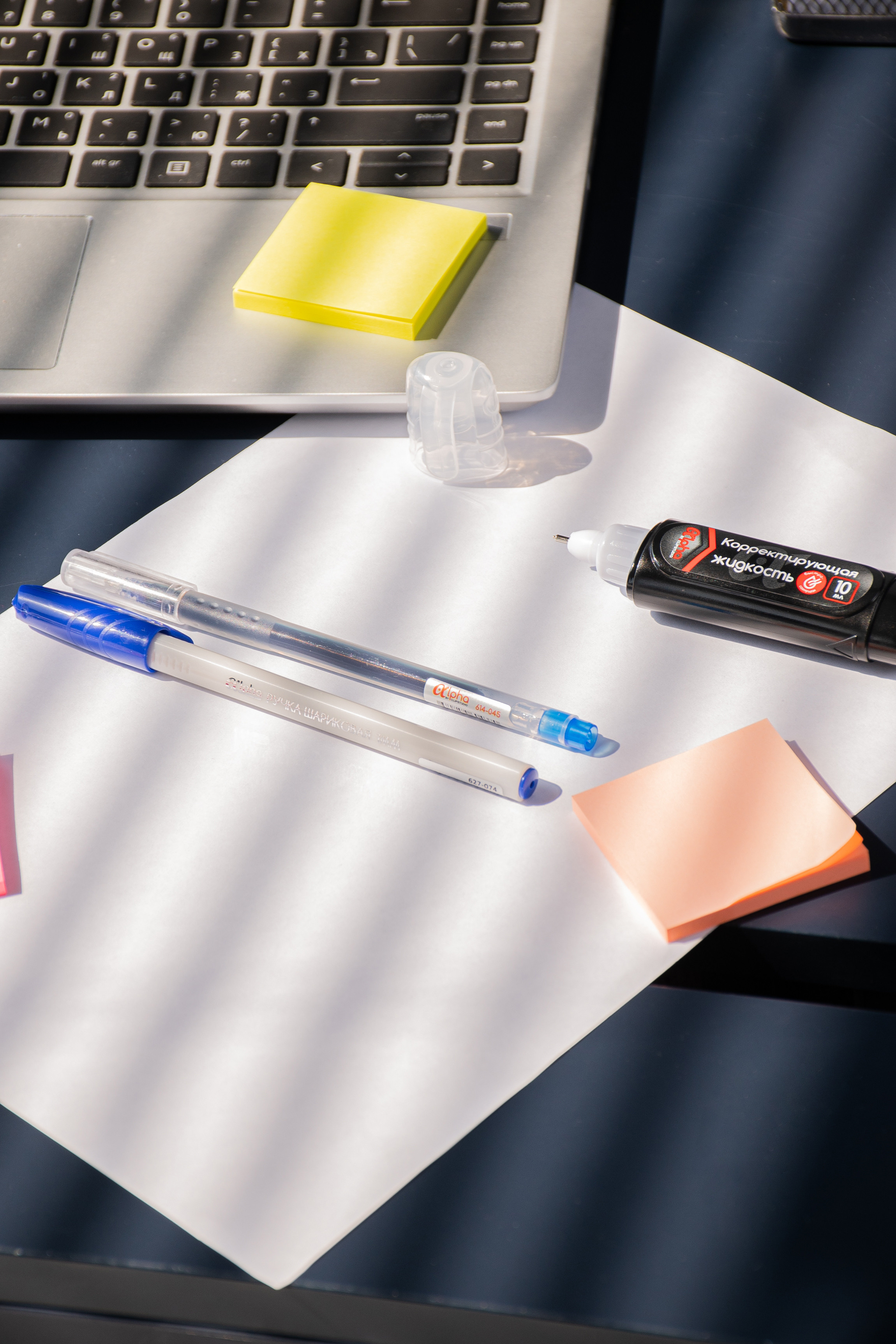 Chancellery. Elizaveta Filchenko. Fashion-photographer and director