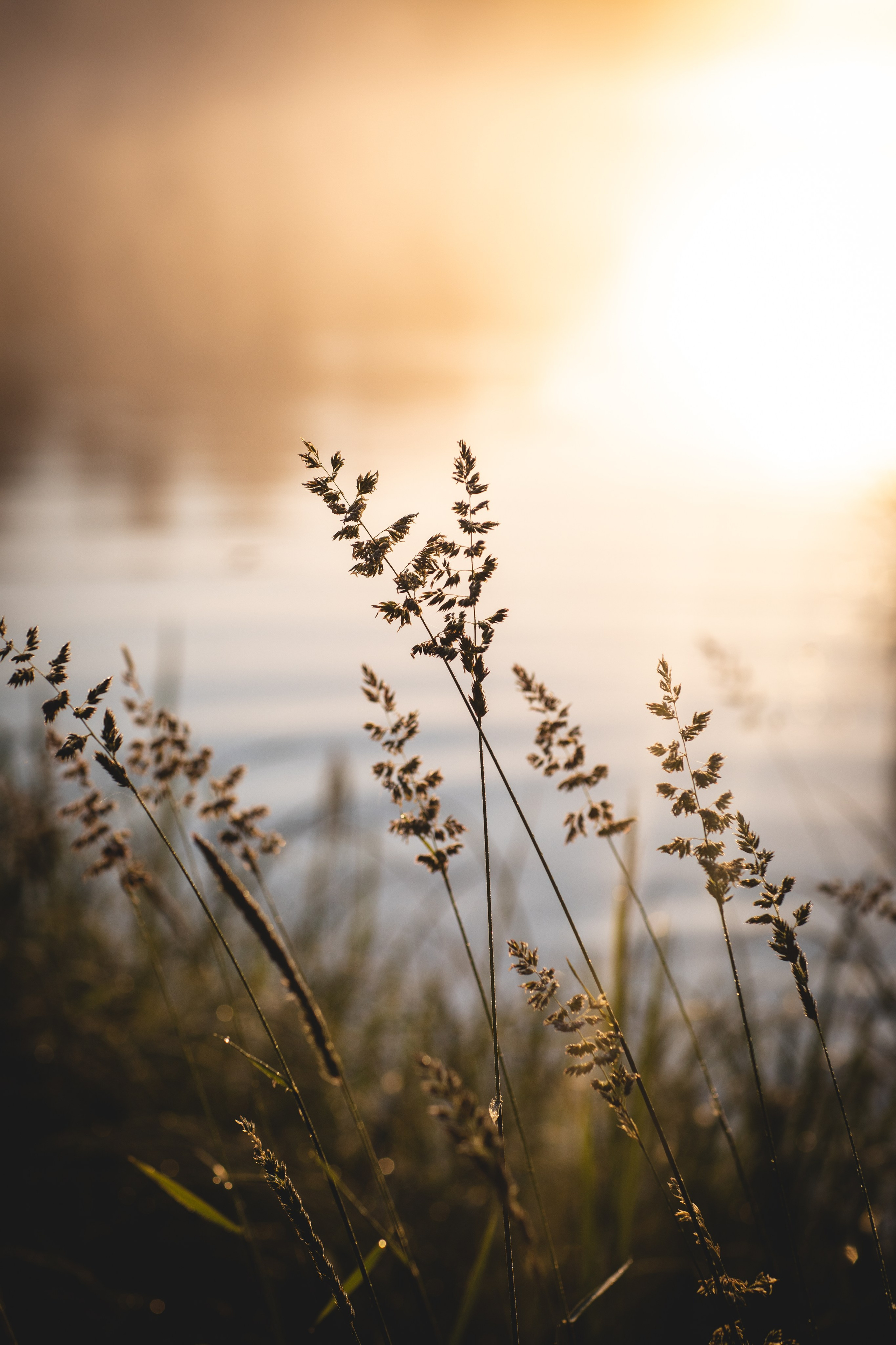 Фототуур «Край озёр» Лето. Семейный фотограф в Москве Анастасия Гурьянова