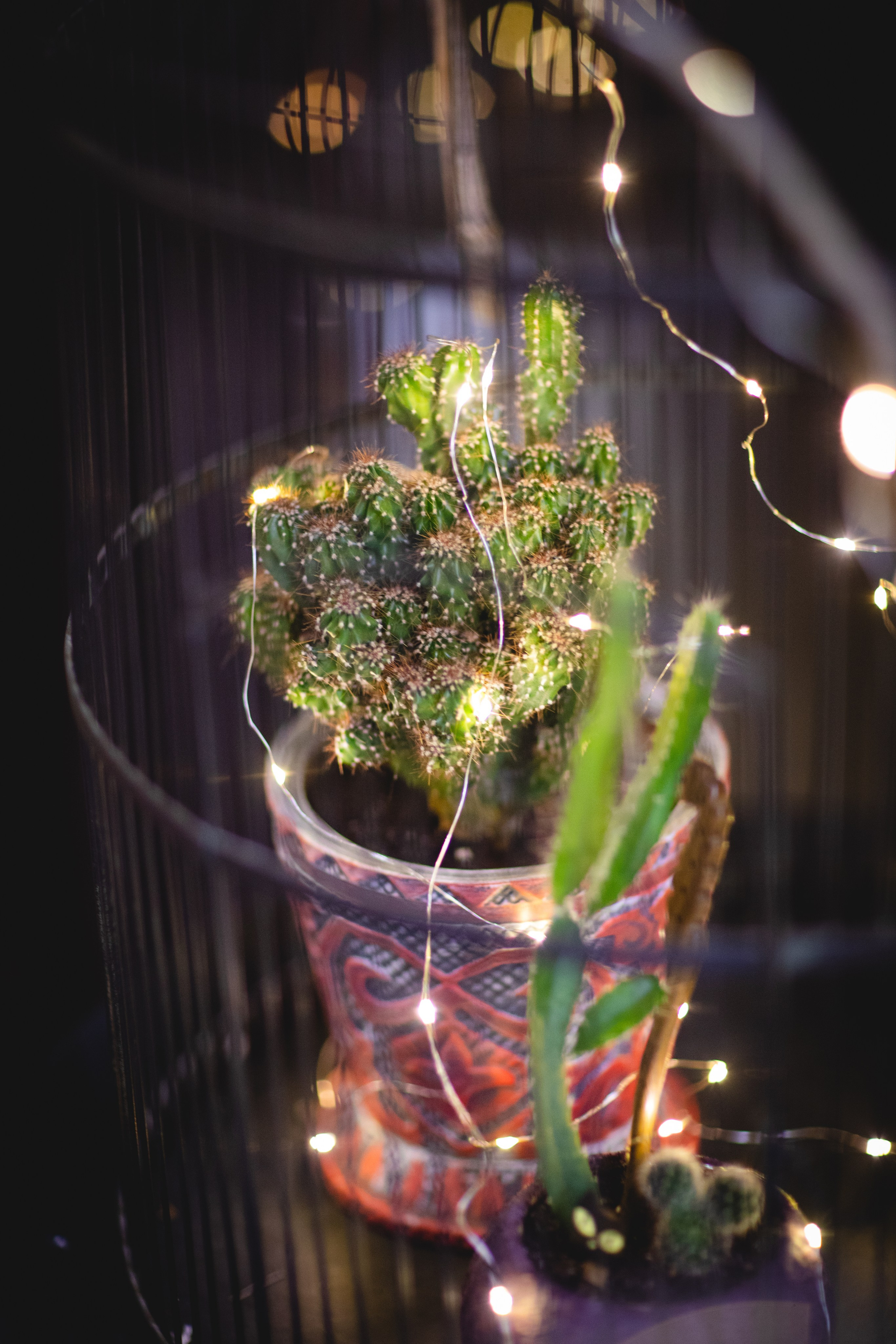 МАРТ-лавка красивых вещей). Семейный фотограф в Москве Анастасия Гурьянова