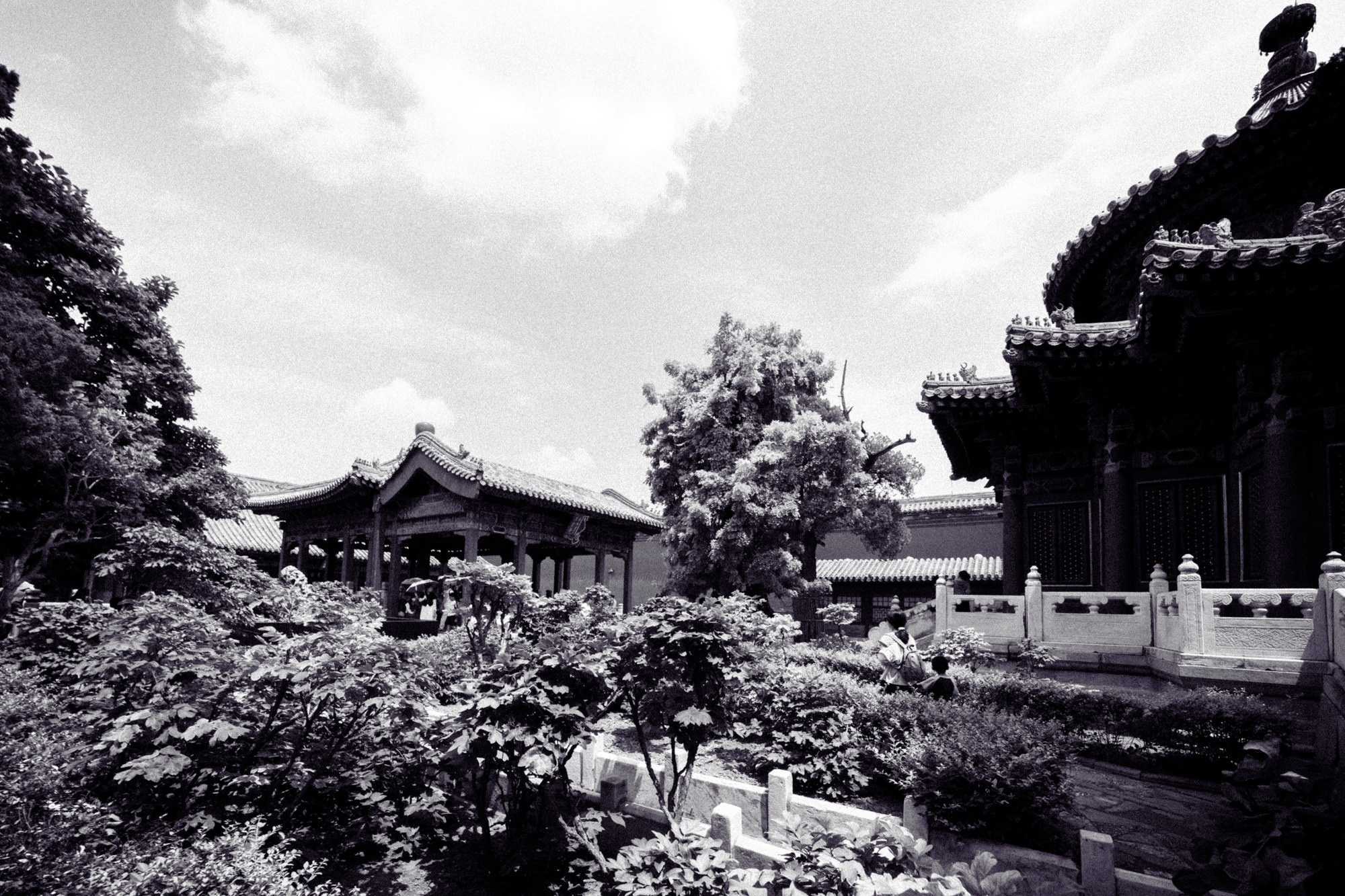 Китай (июль 2026). Polypolarphotography