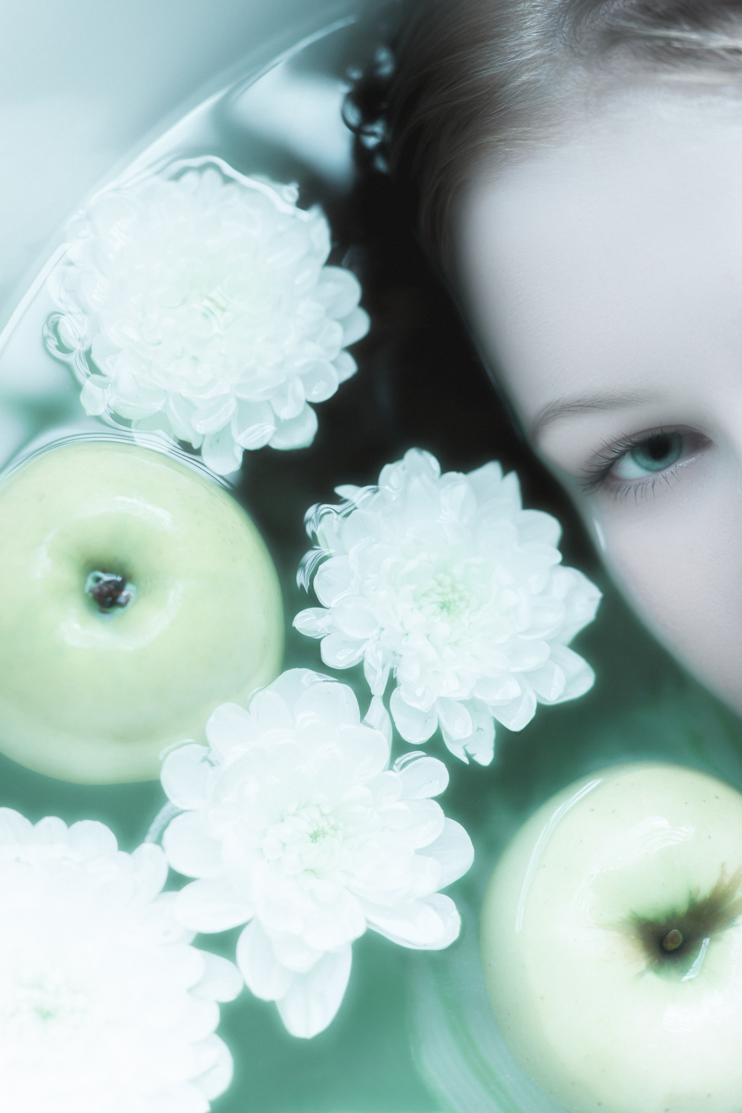 Apples. Polypolarphotography