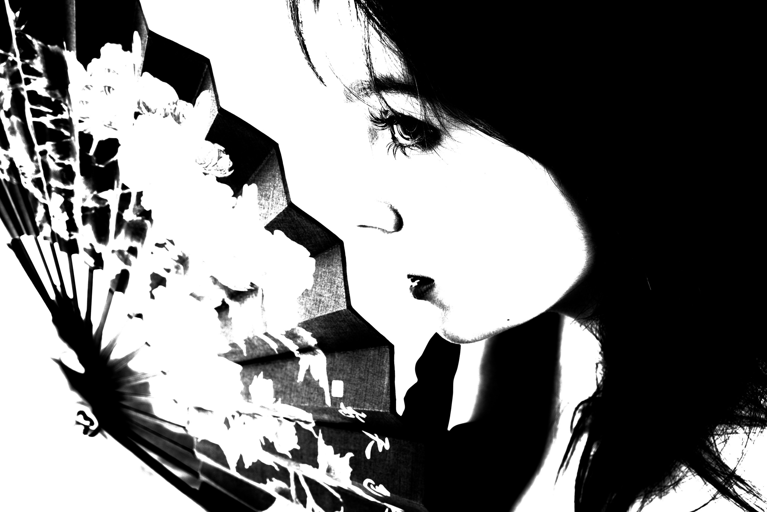 How to become a samurai?. Polypolarphotography