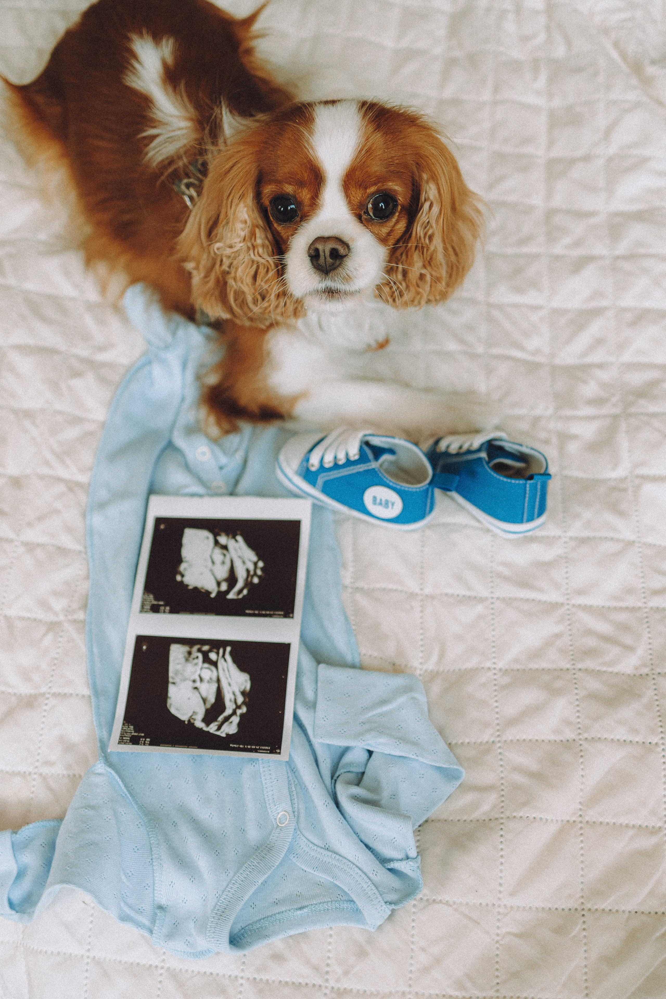 Валя, Вася, Аня и Ириска