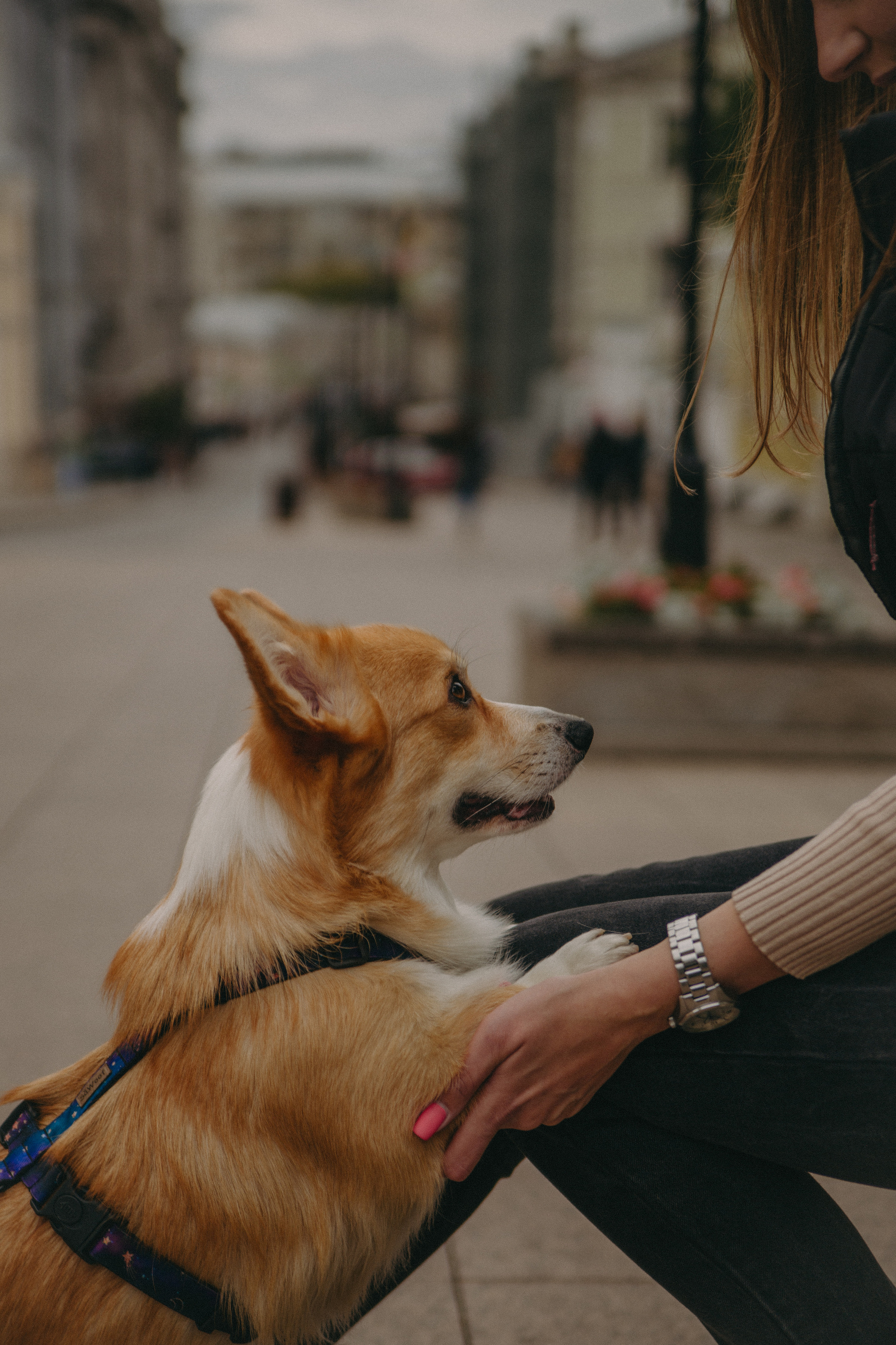 Dog story. Фотограф Москва • Уля Бузина💗
