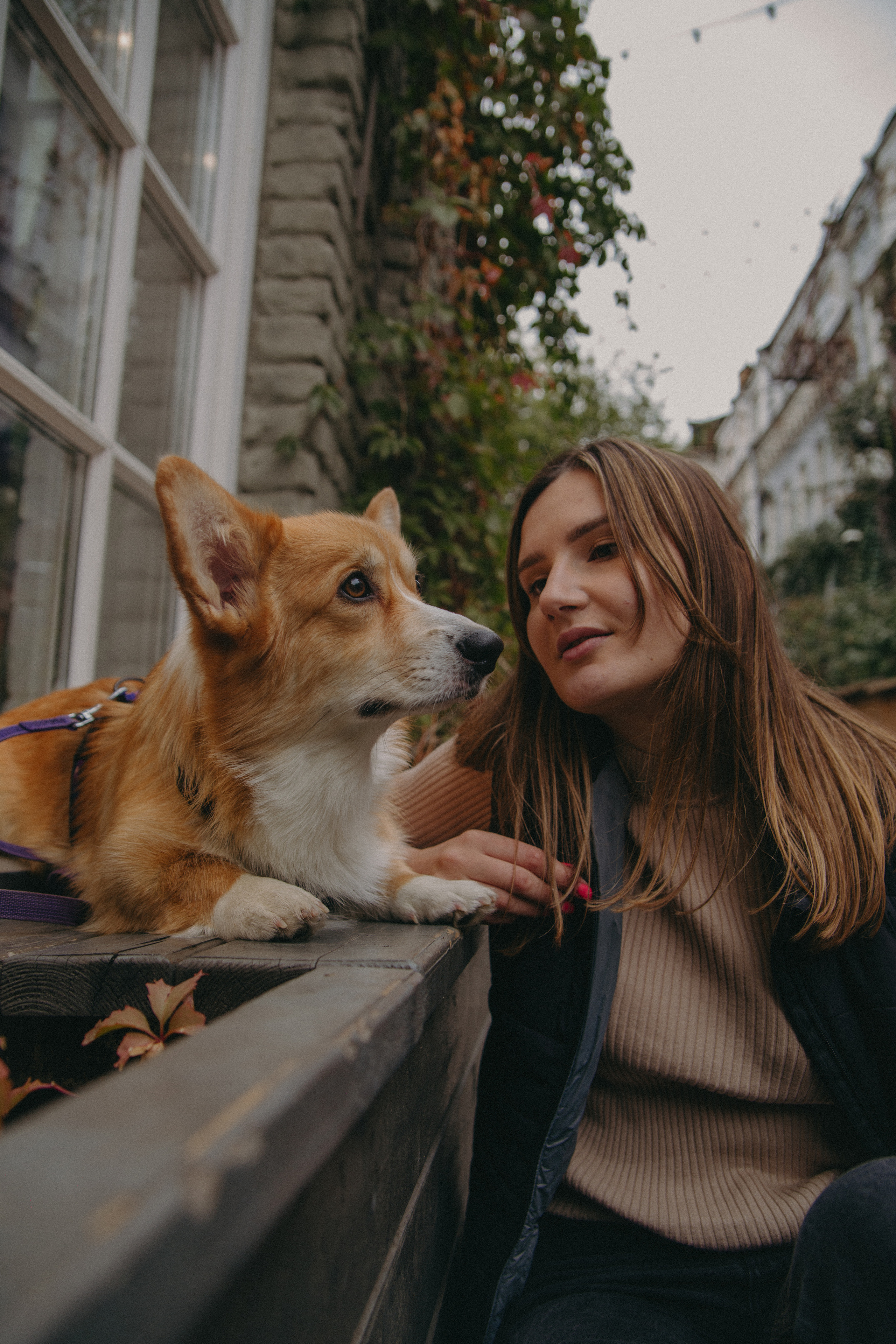 Алина и Купер. Фотограф Москва • Уля Бузина💗