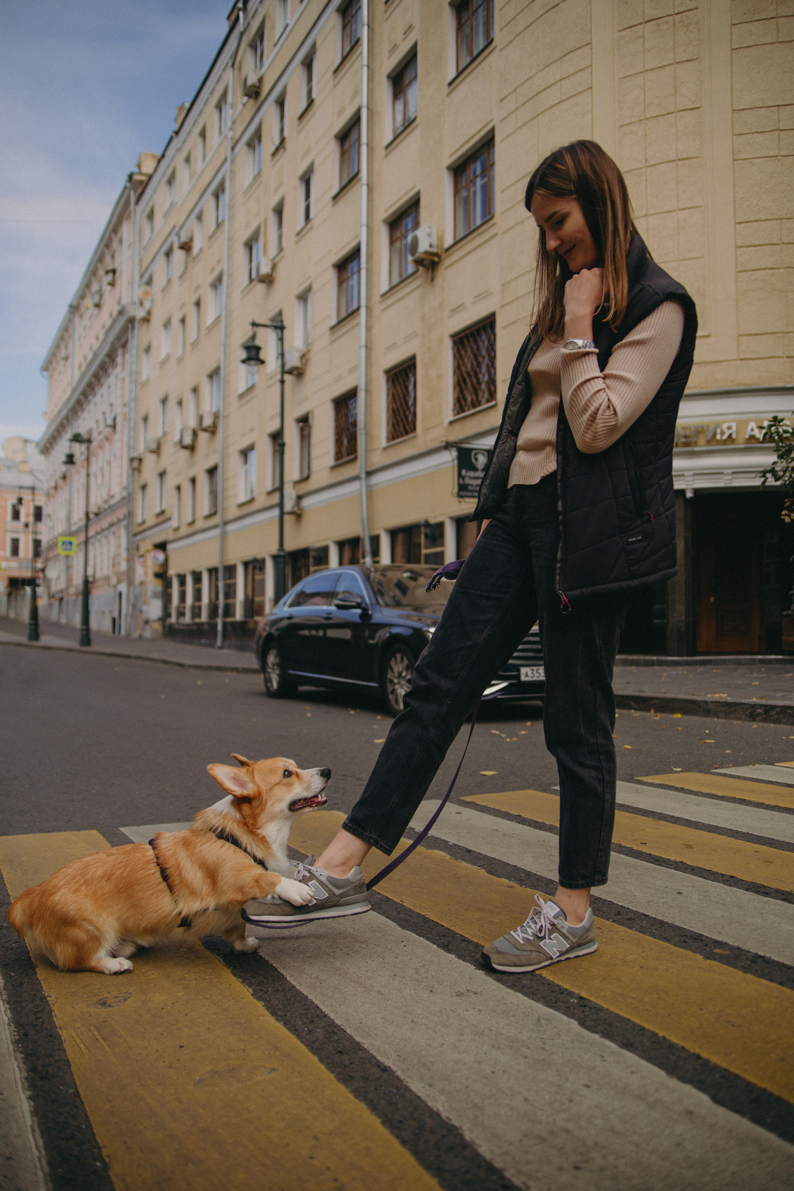 Dog story. Фотограф Москва • Уля Бузина💗